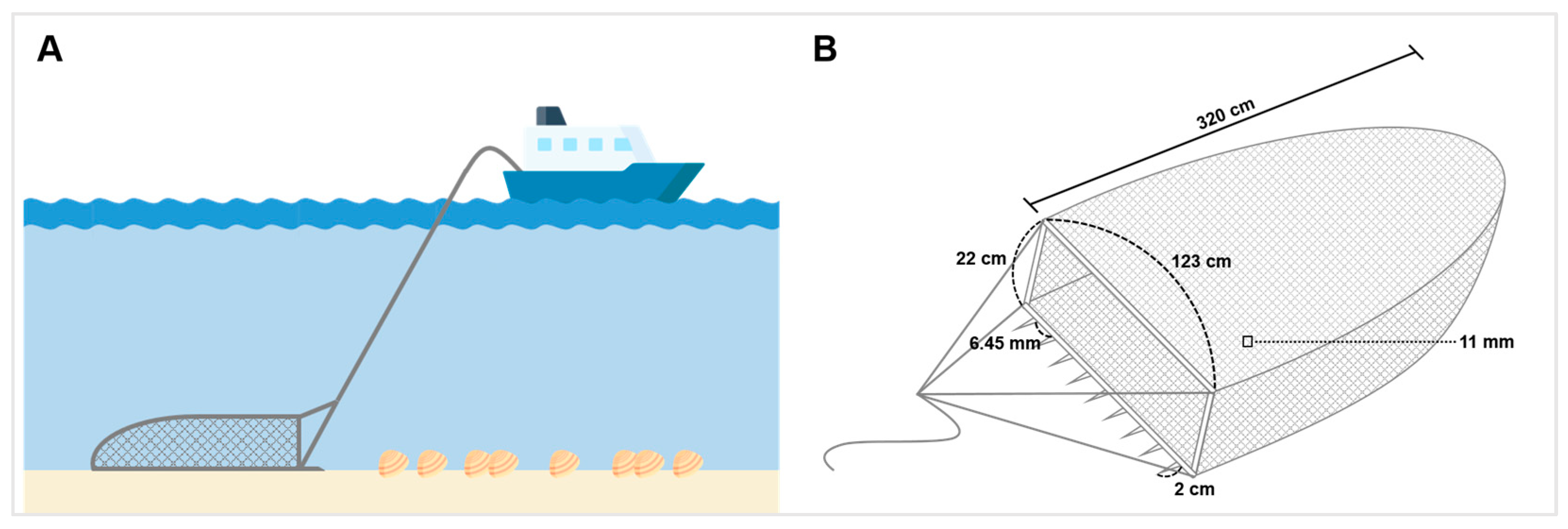 Biology 12 01245 g0a1