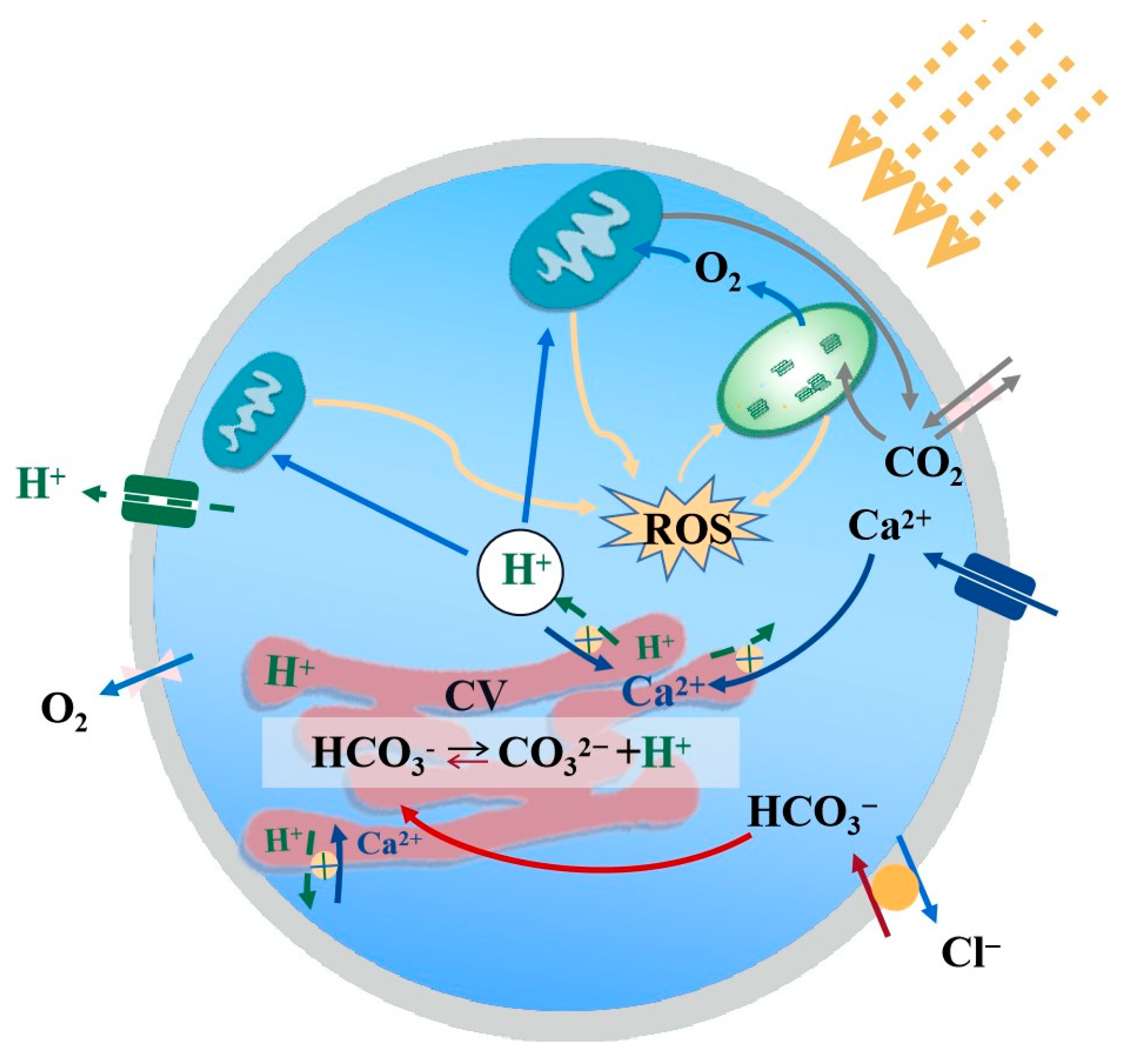 Biology 12 01249 g005