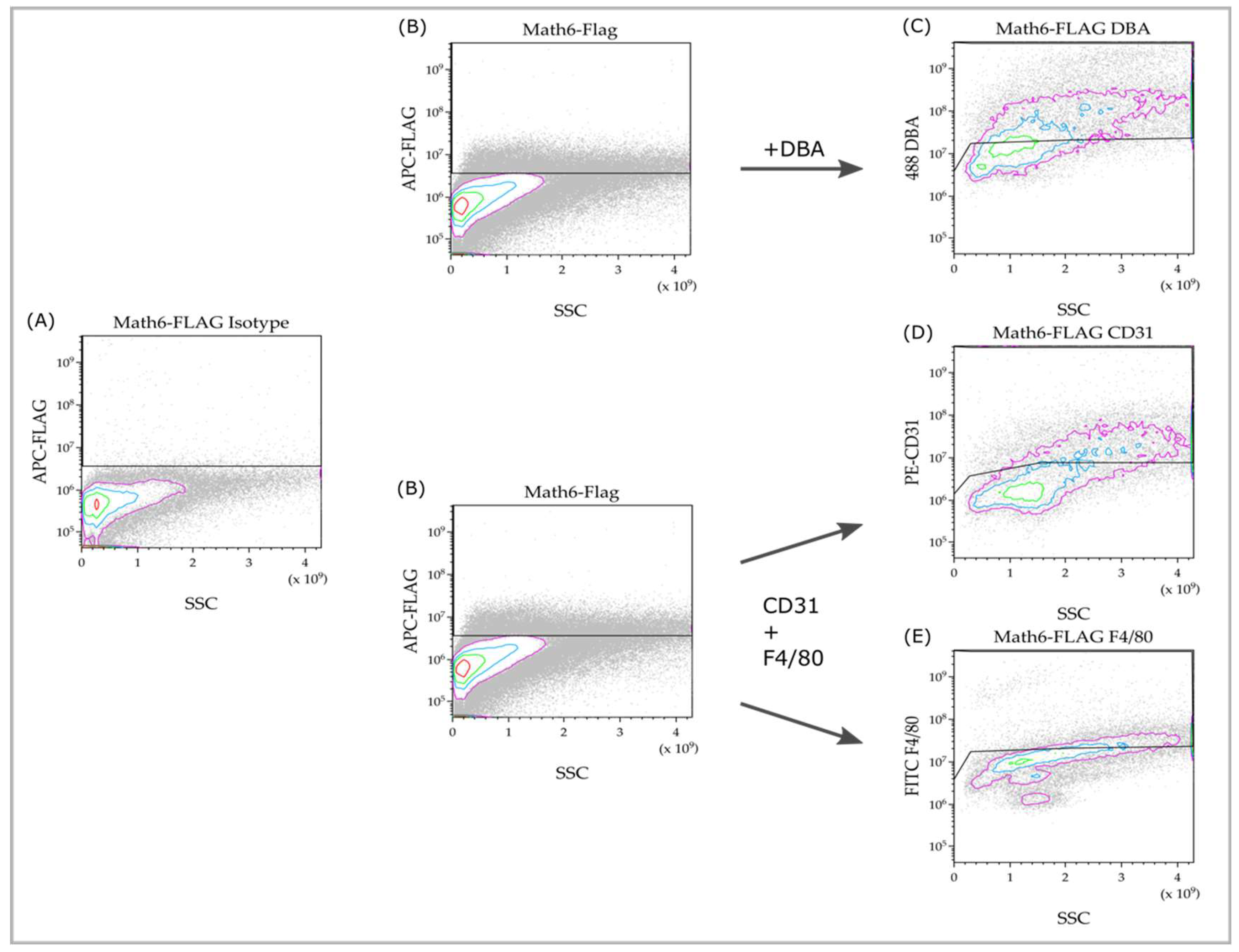 Biology 12 01252 g003
