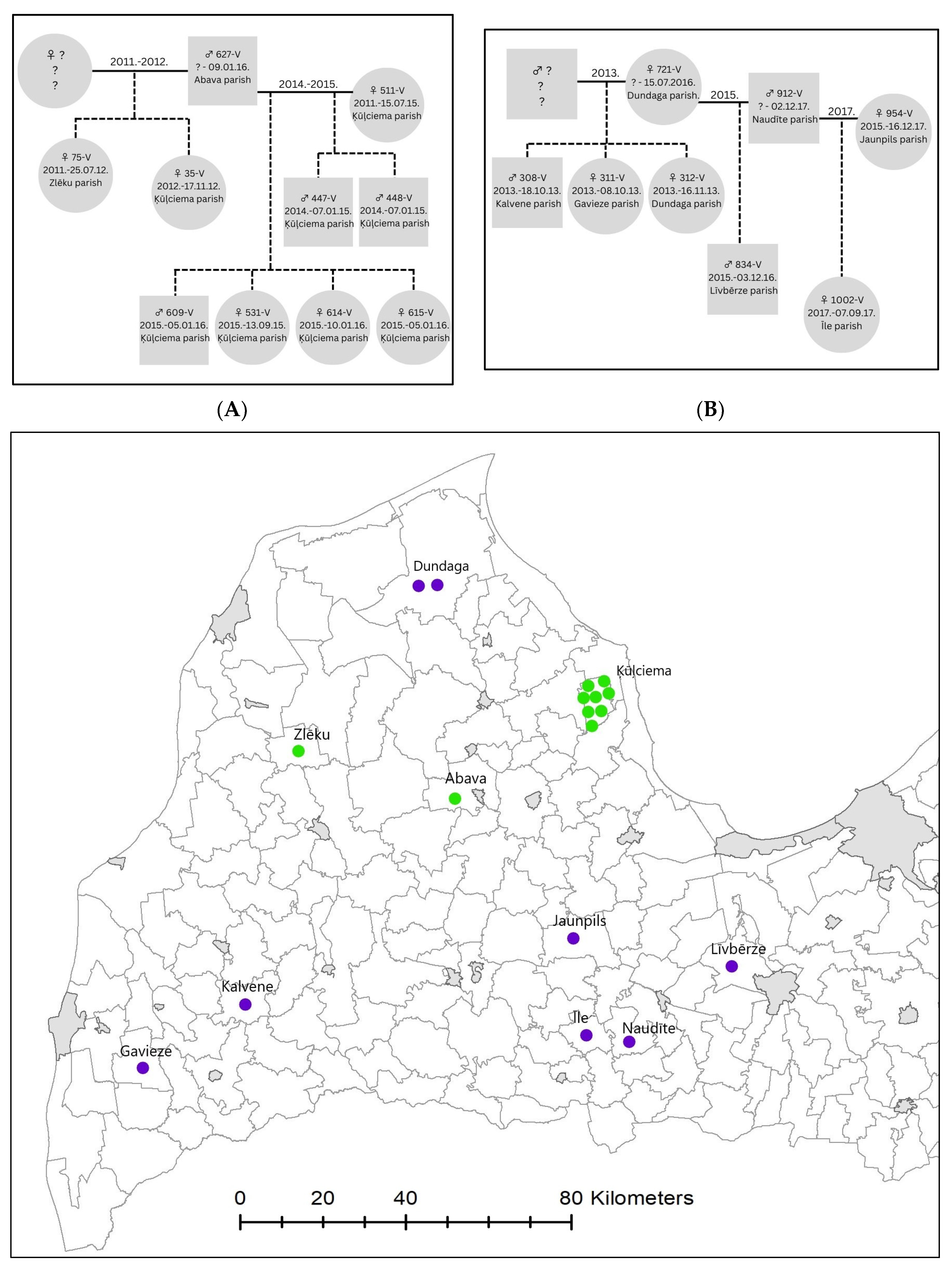 Biology 12 01255 g003