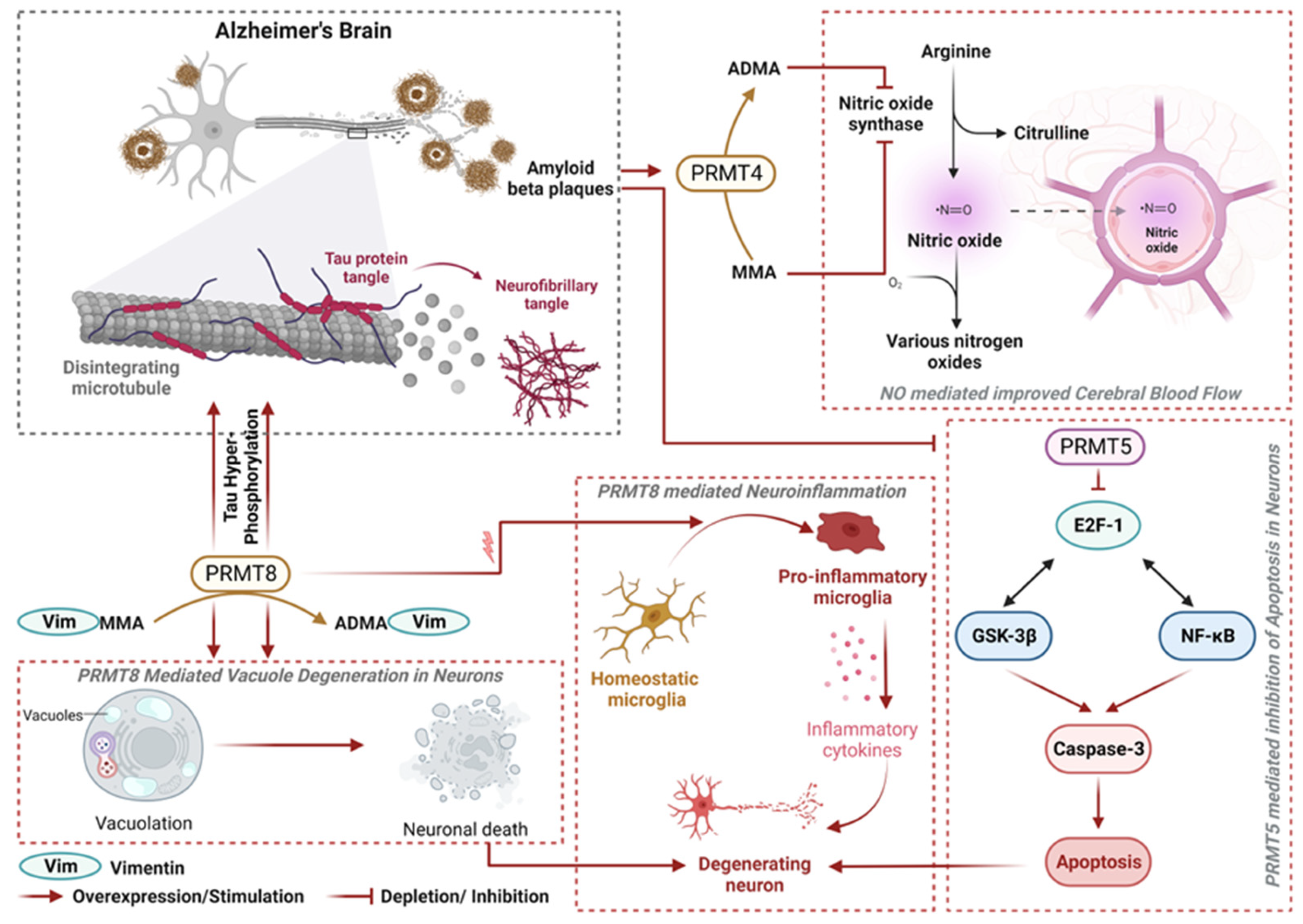 Biology 12 01257 g002 Biology 12 01257 g002