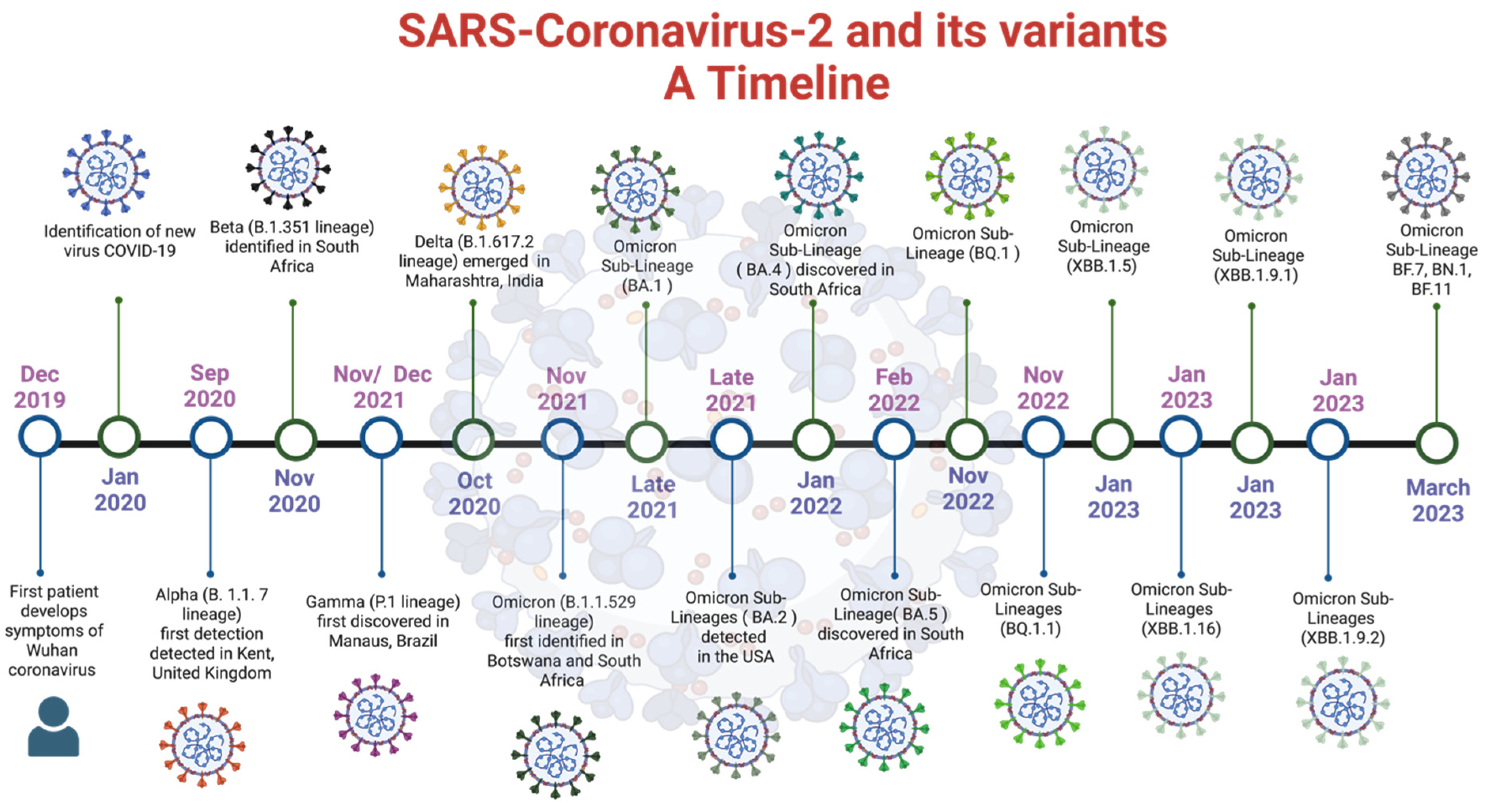 Biology 12 01267 g003