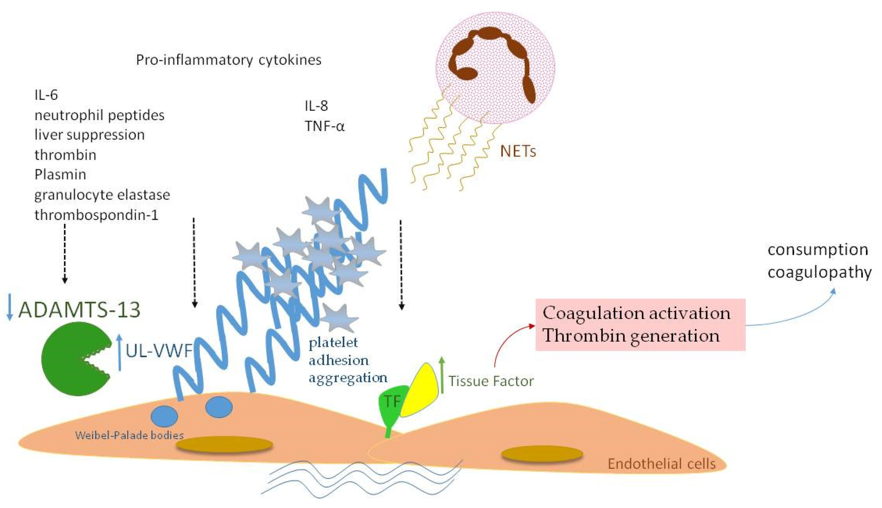 Biology 12 01281 g003 Biology 12 01281 g003