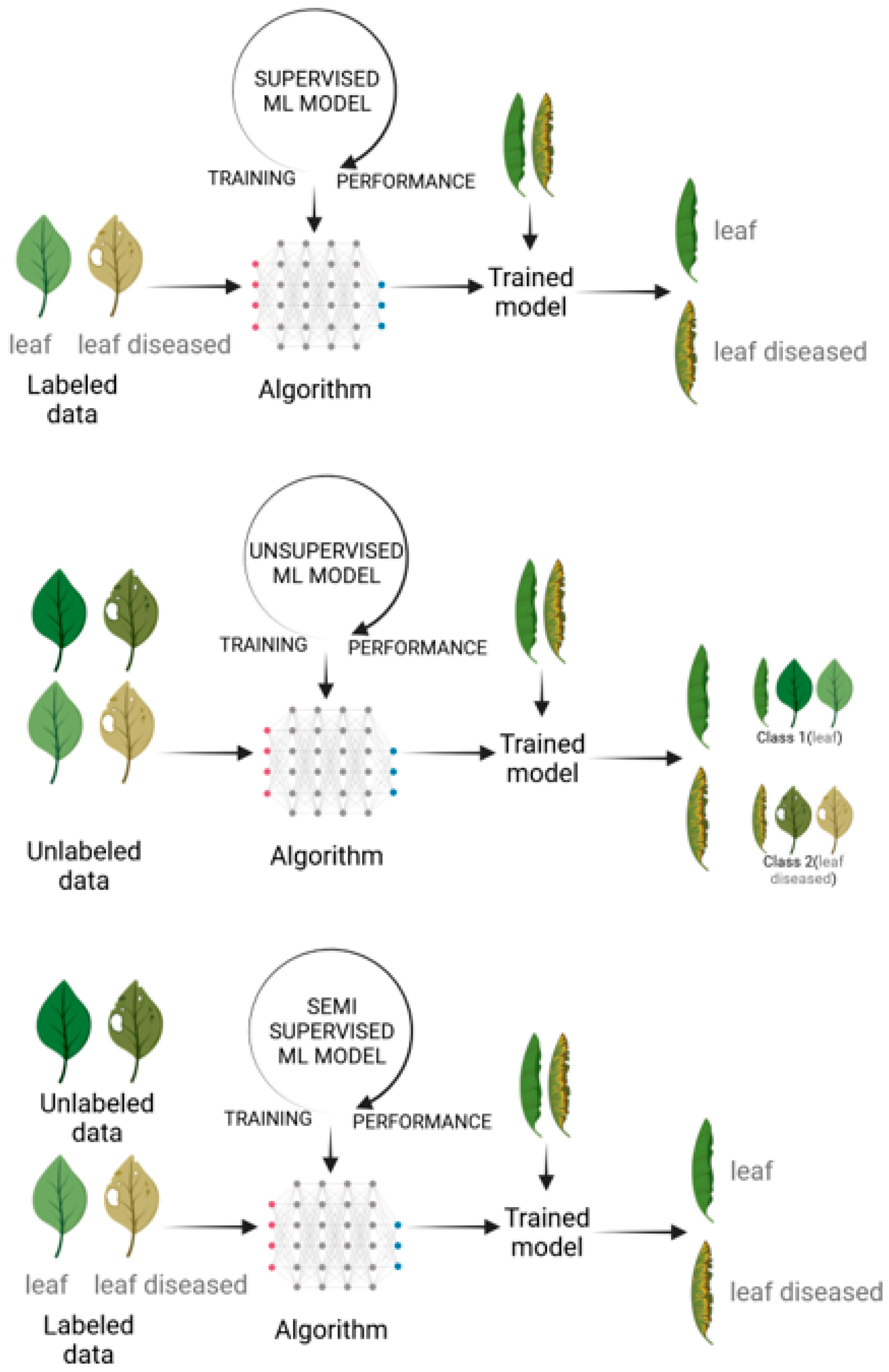 Biology 12 01298 g003