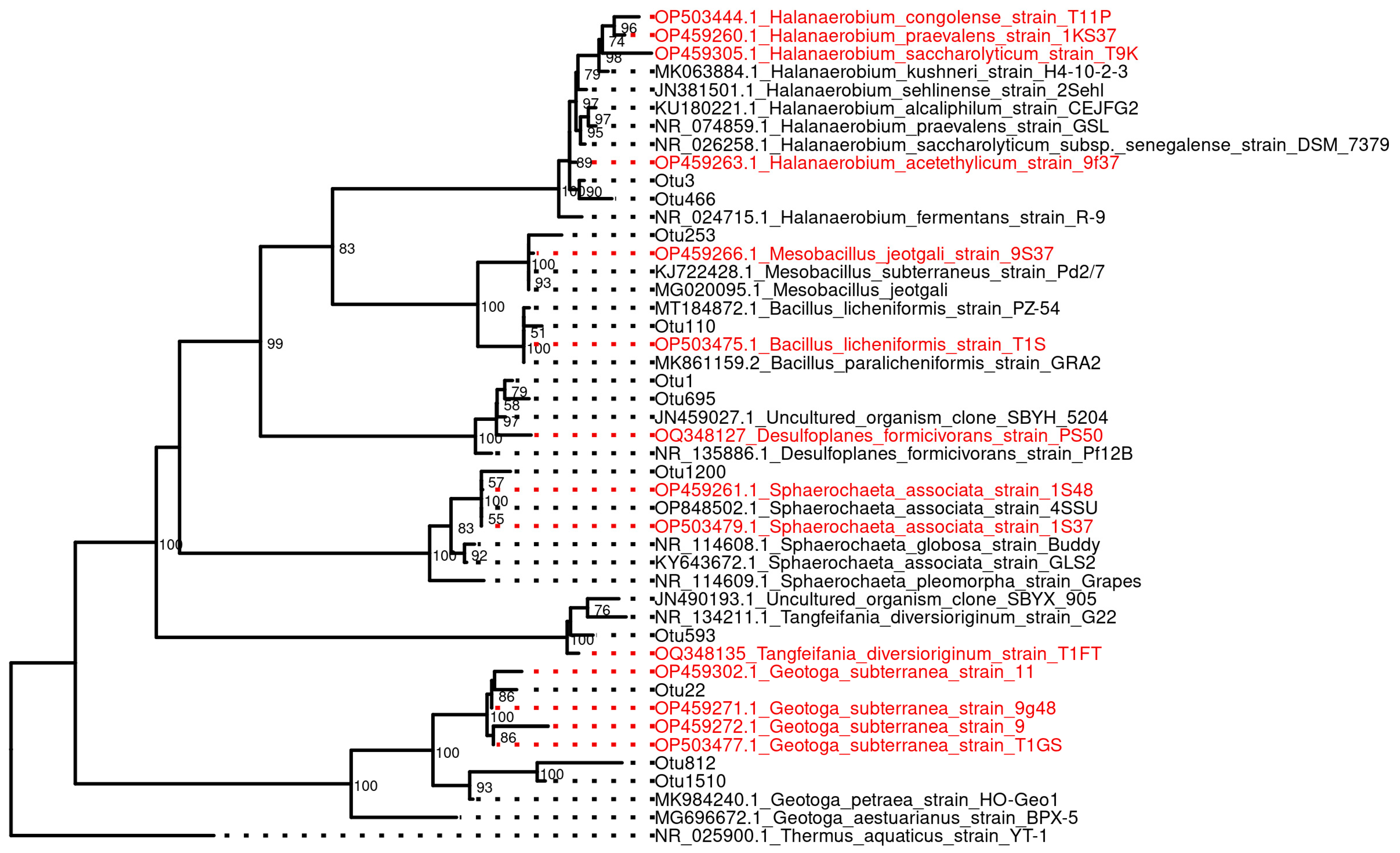 Biology 12 01300 g005