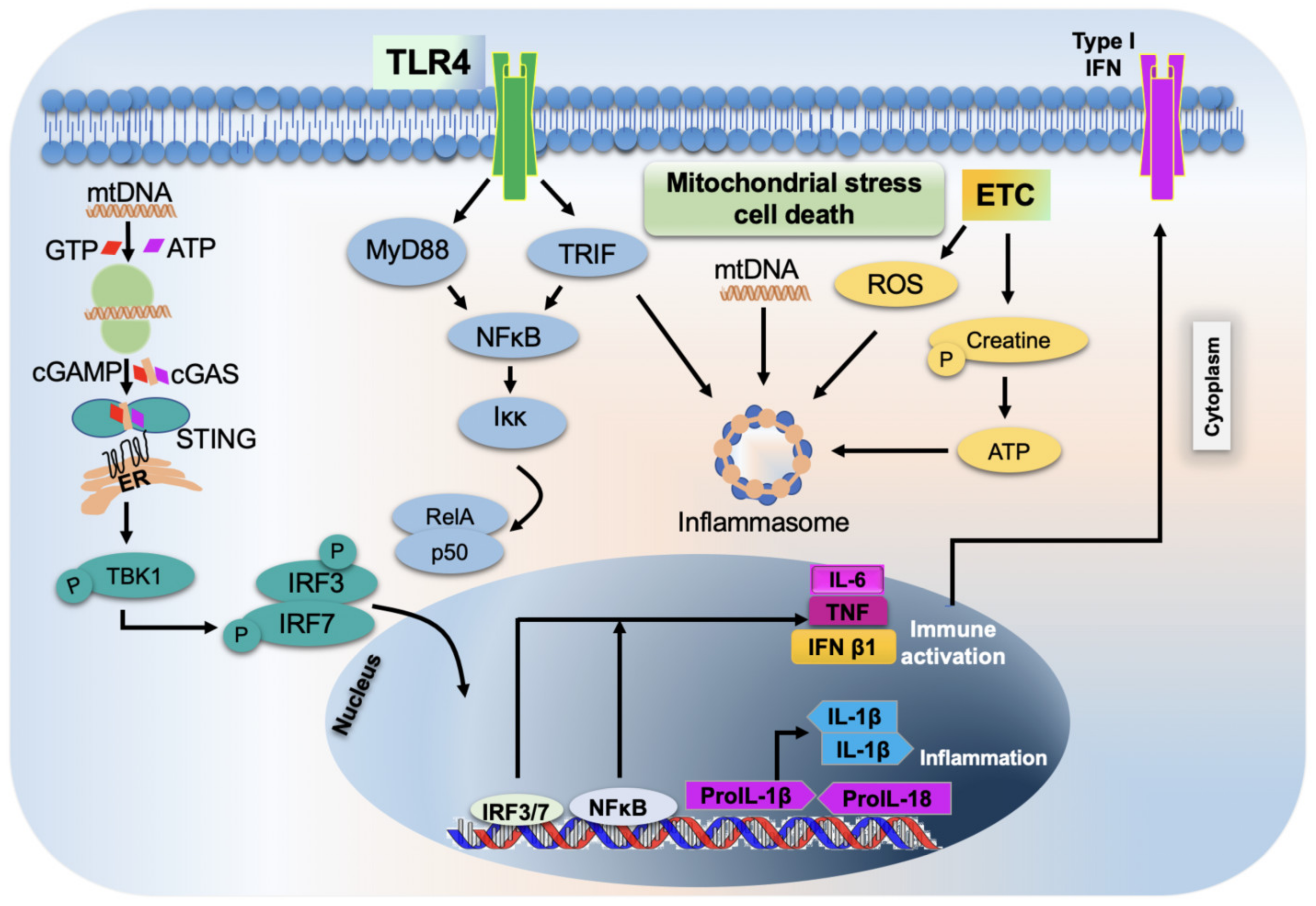 Biology 12 01311 g003