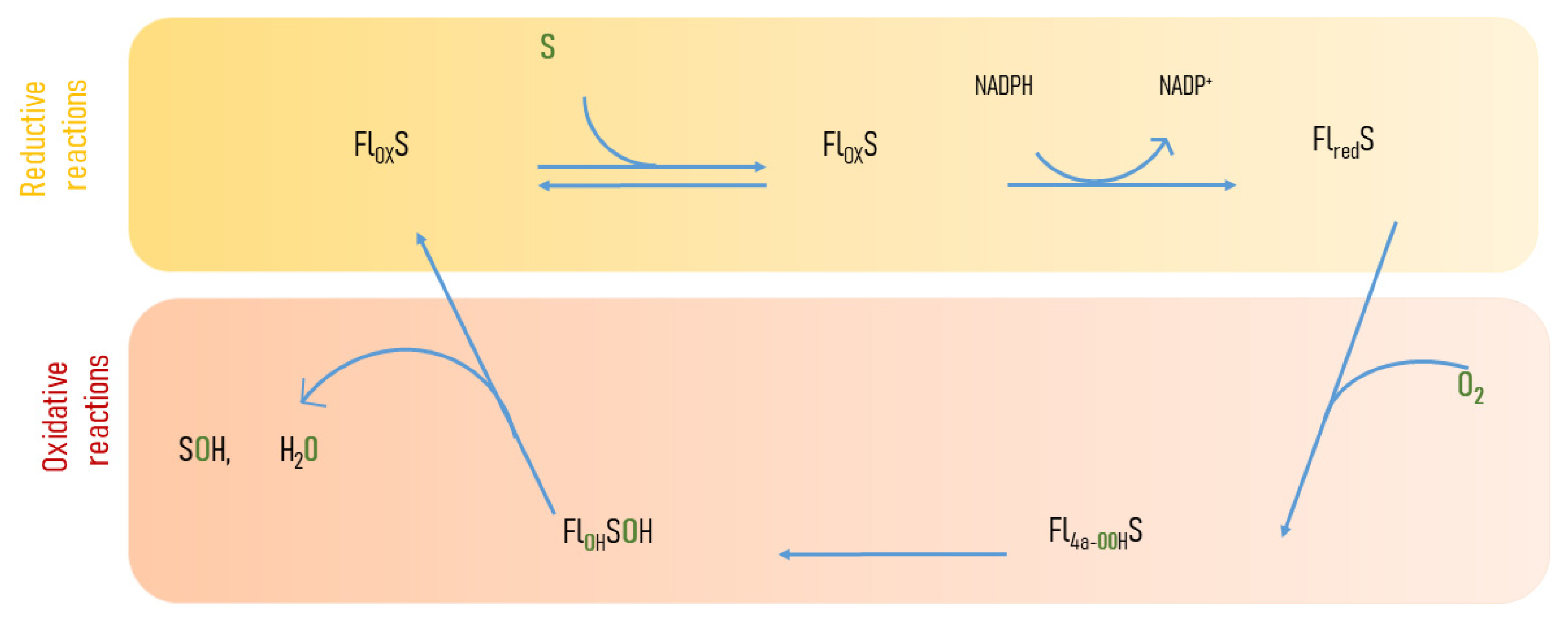 Biology 12 01316 g002 Biology 12 01316 g002