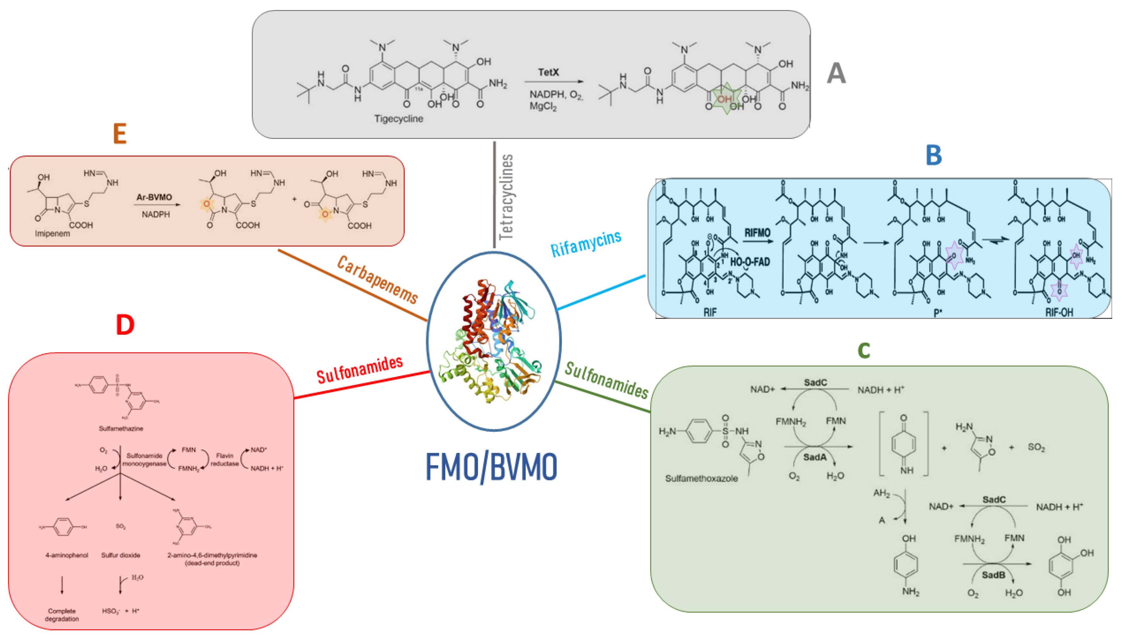 Biology 12 01316 g003 Biology 12 01316 g003