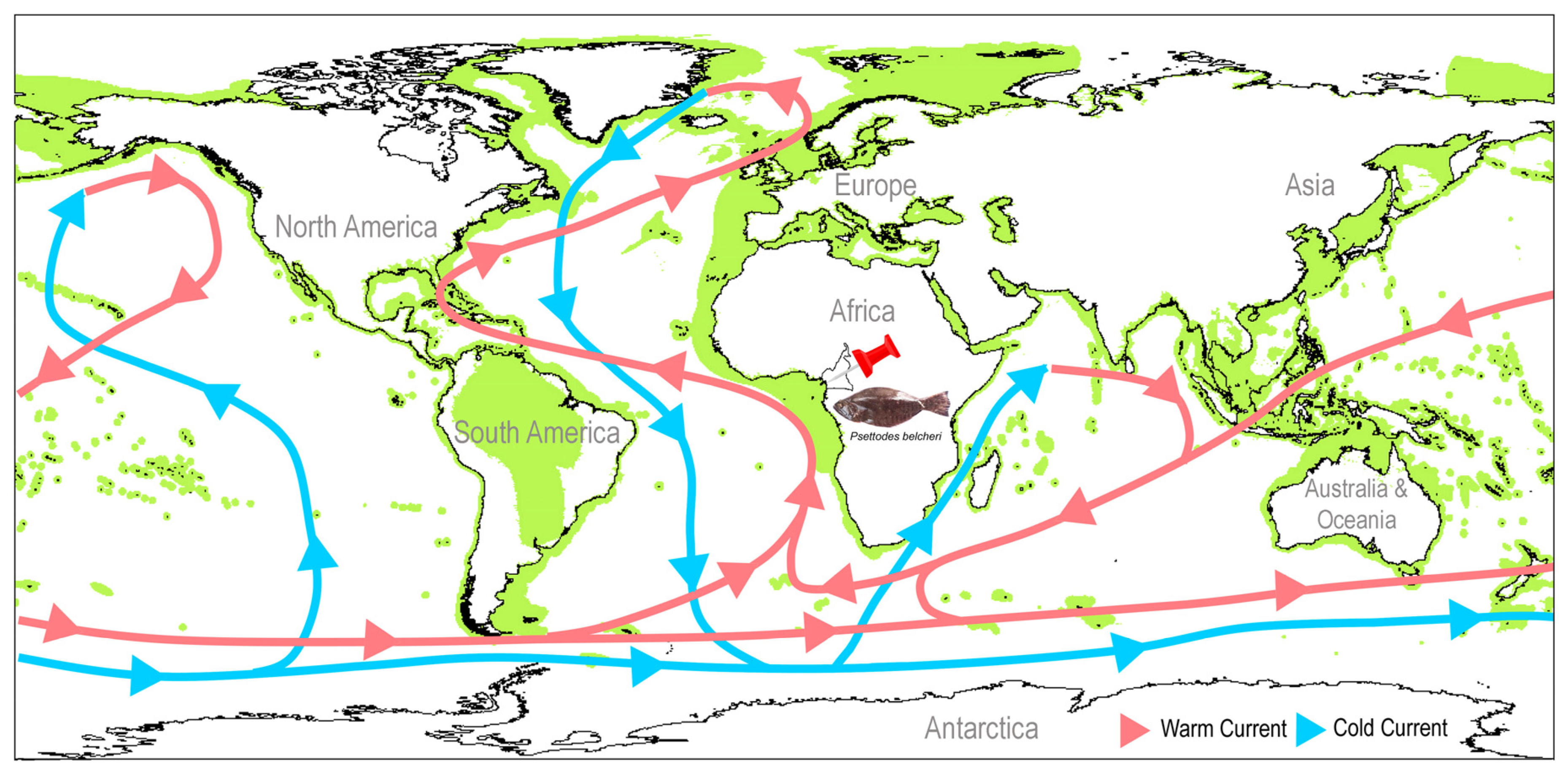 Biology 12 01317 g001