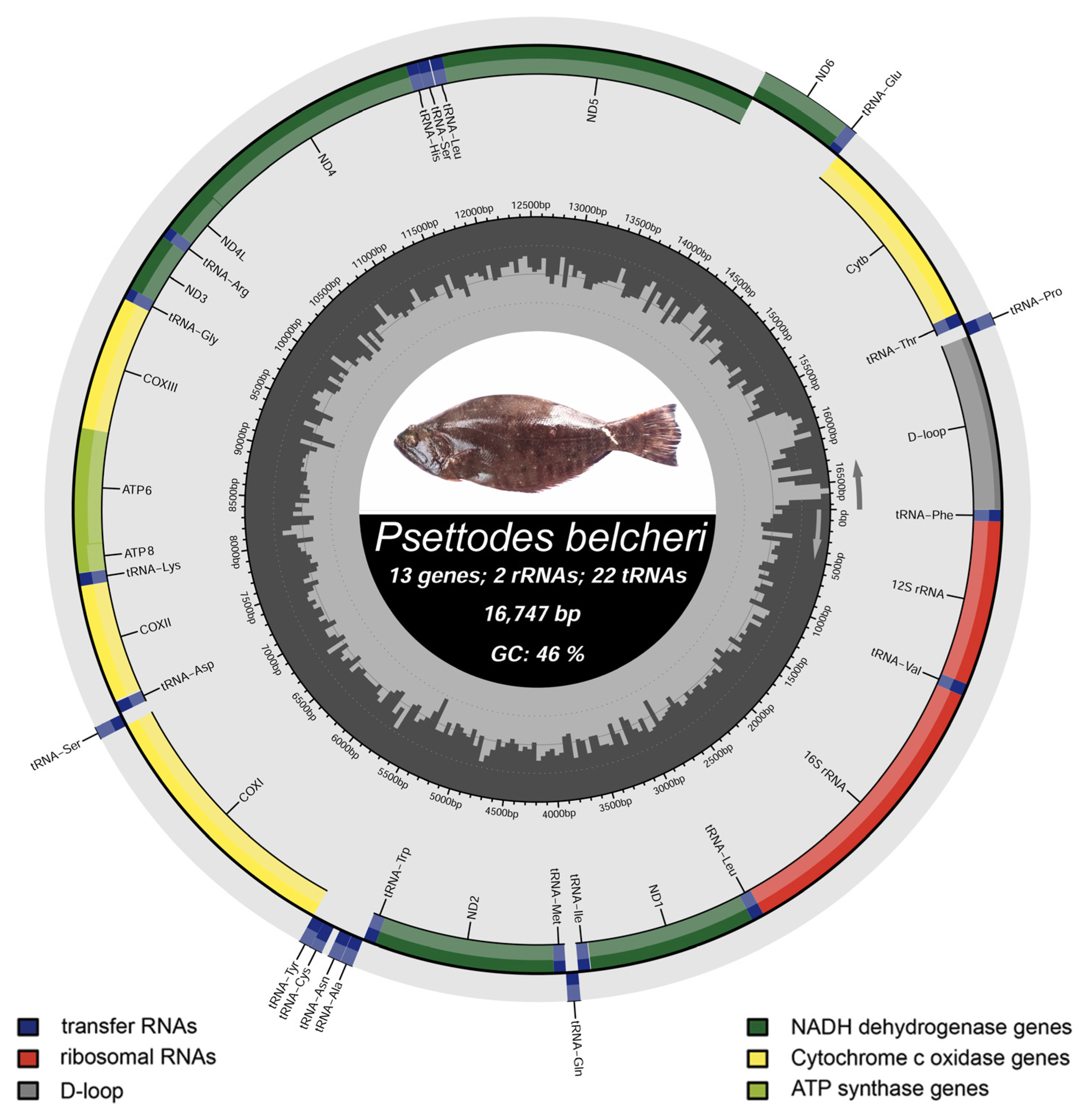 Biology 12 01317 g002