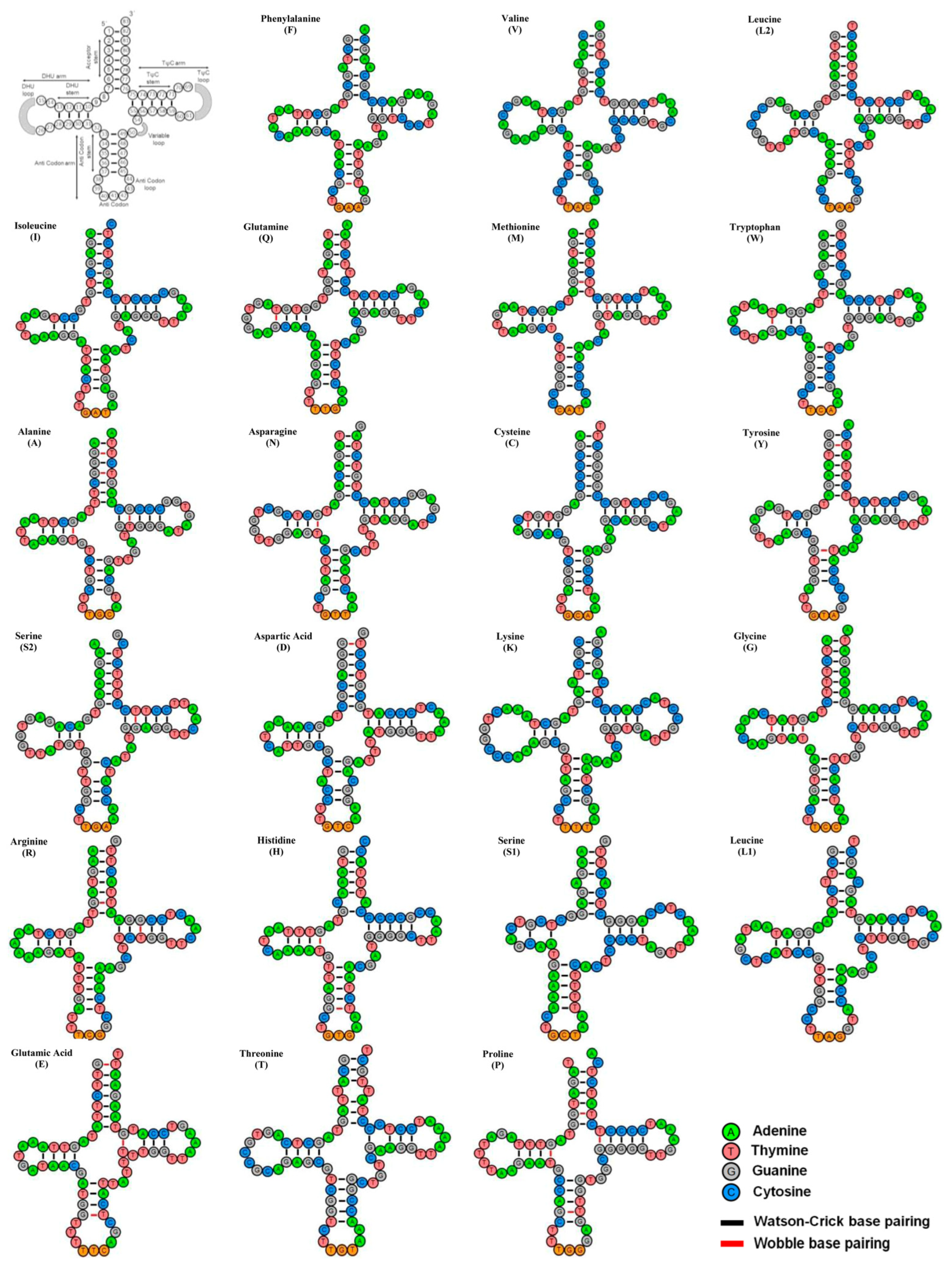 Biology 12 01317 g003