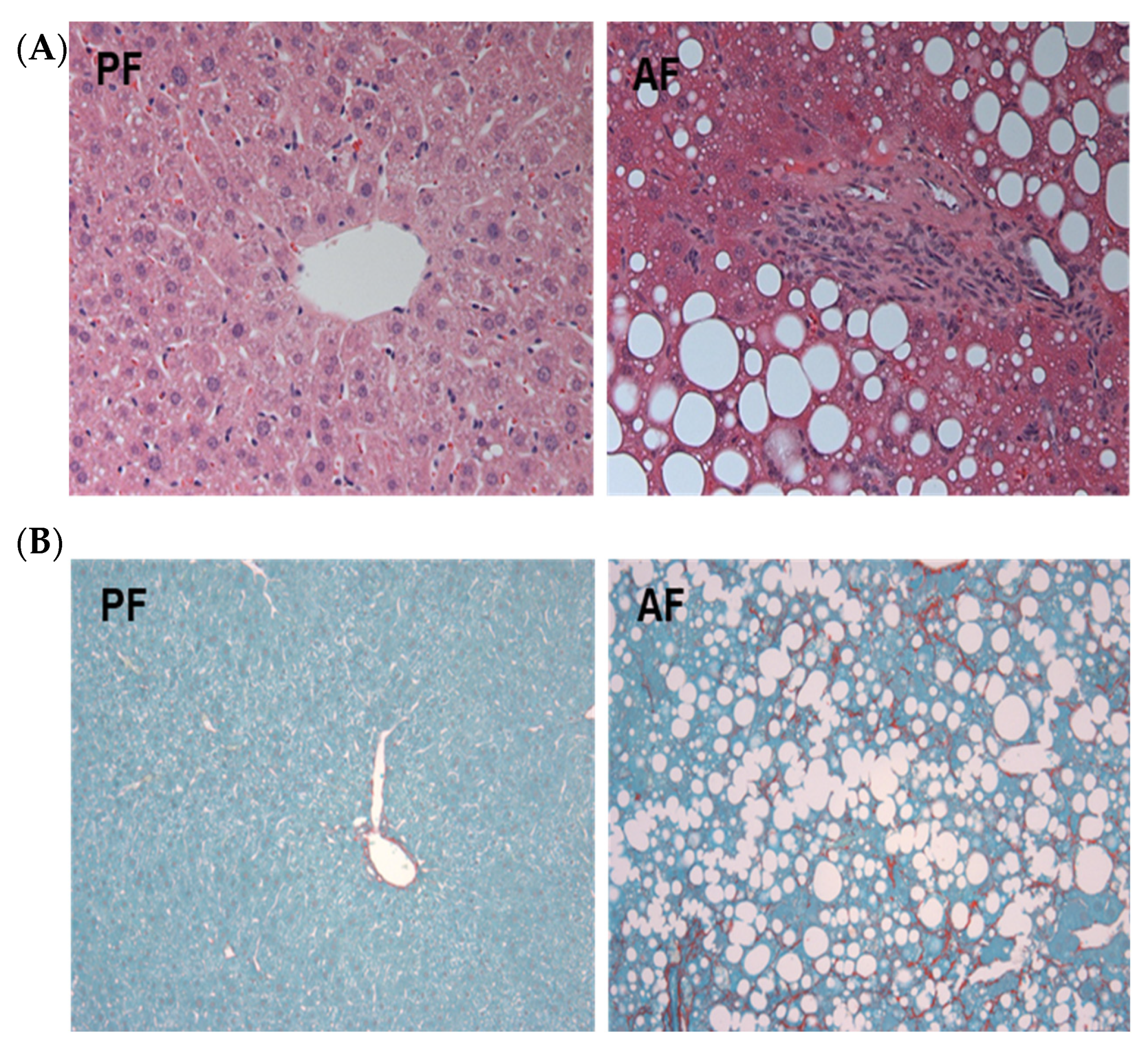 Biology 12 01321 g001 Biology 12 01321 g001