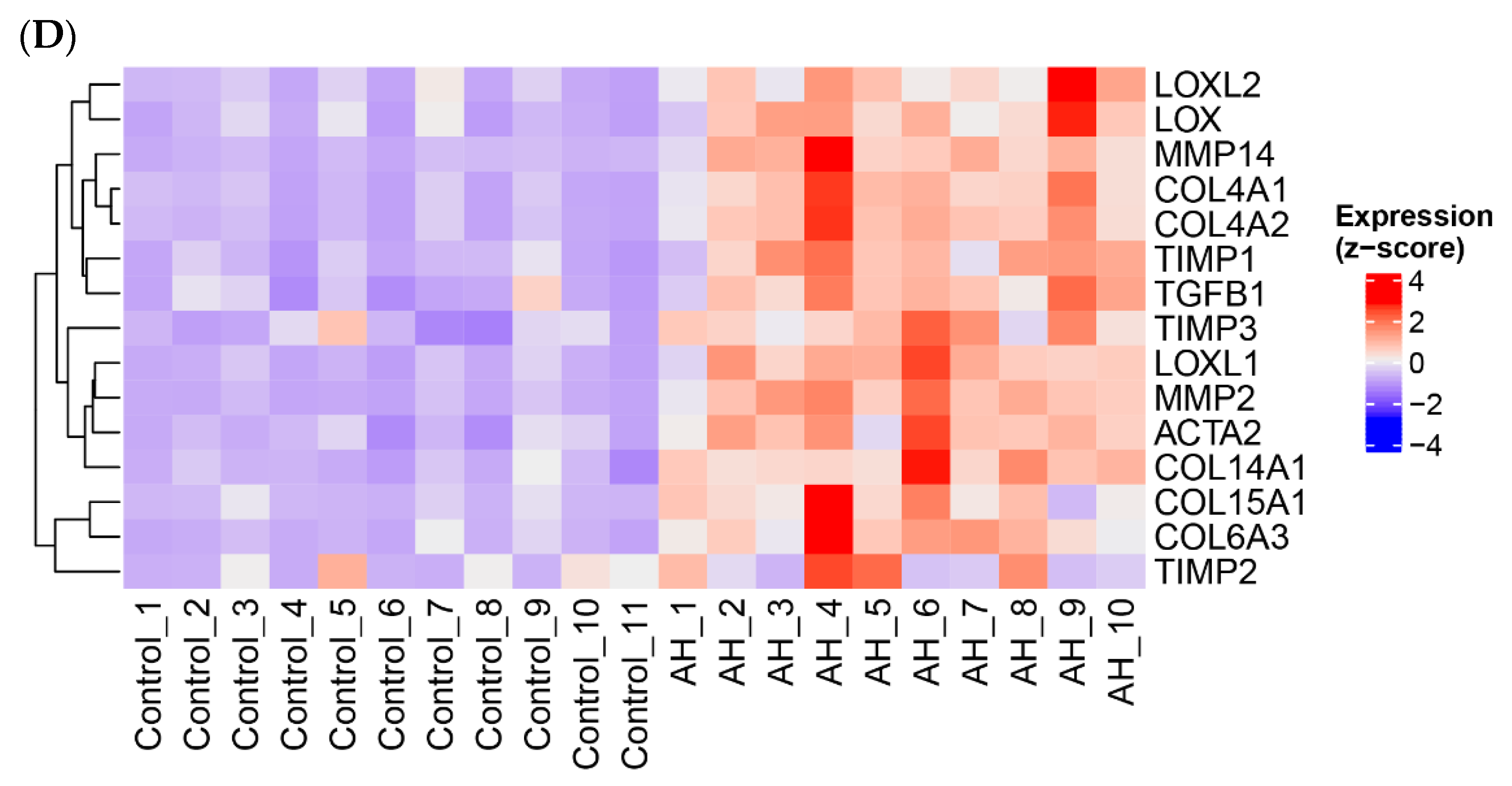 Biology 12 01321 g002b Biology 12 01321 g002b