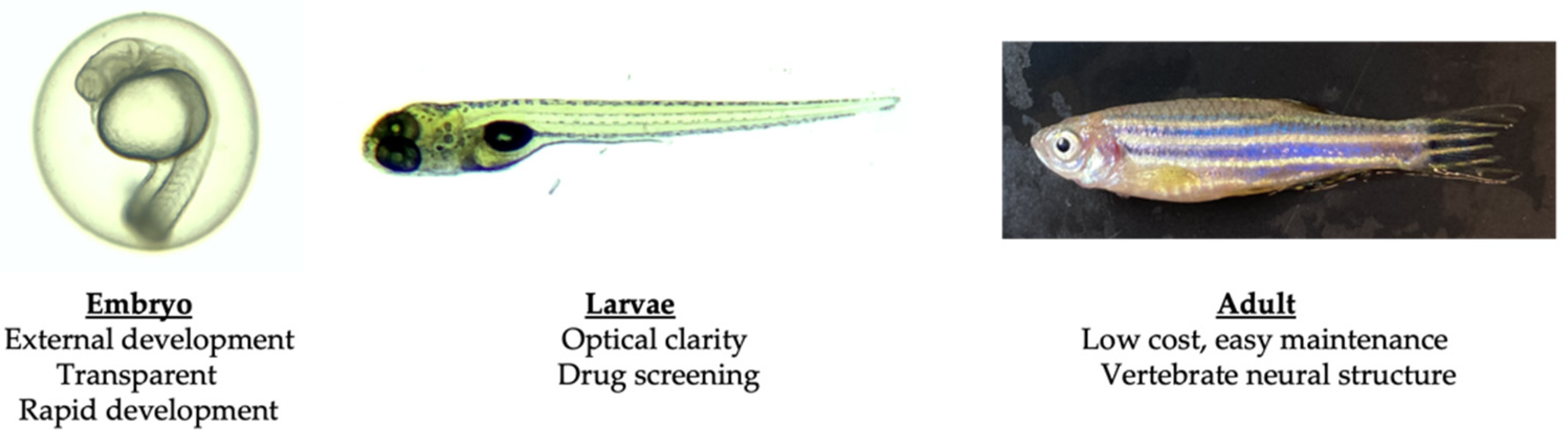 Biology 12 01322 g001