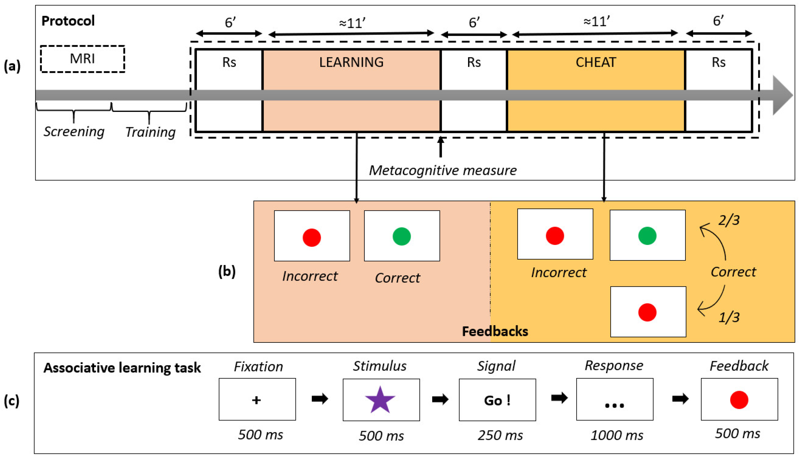 Biology 12 01323 g001