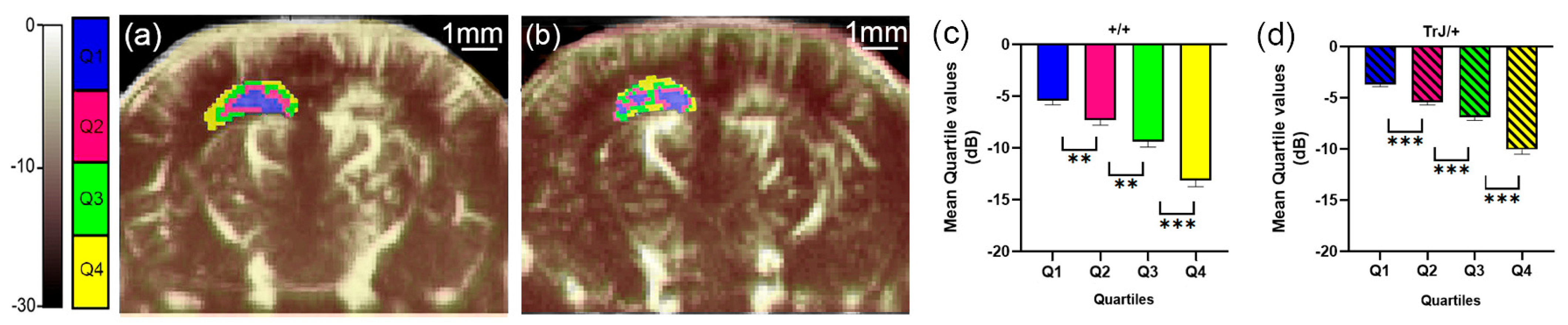 Biology 12 01324 g002