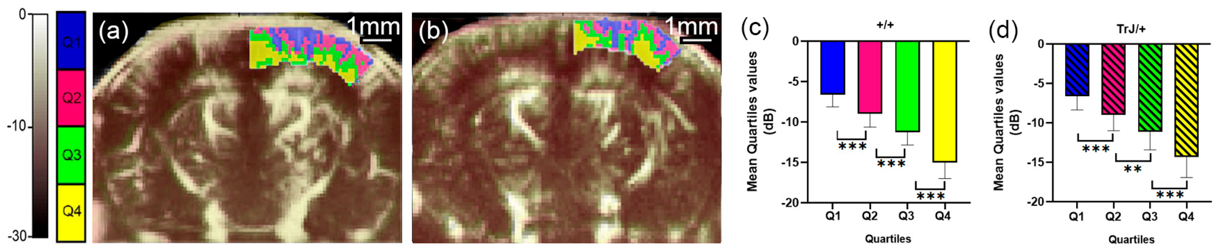 Biology 12 01324 g003
