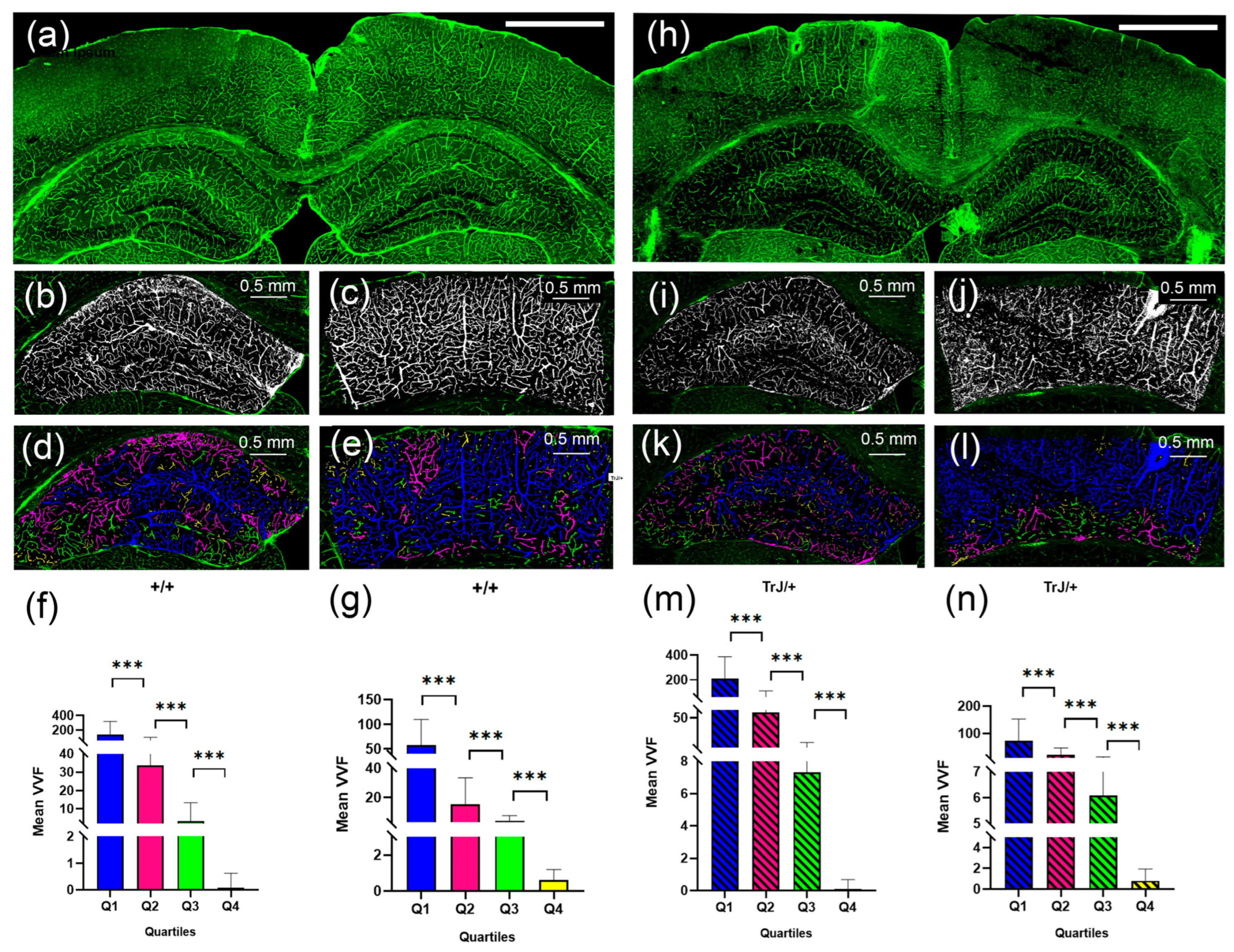 Biology 12 01324 g005