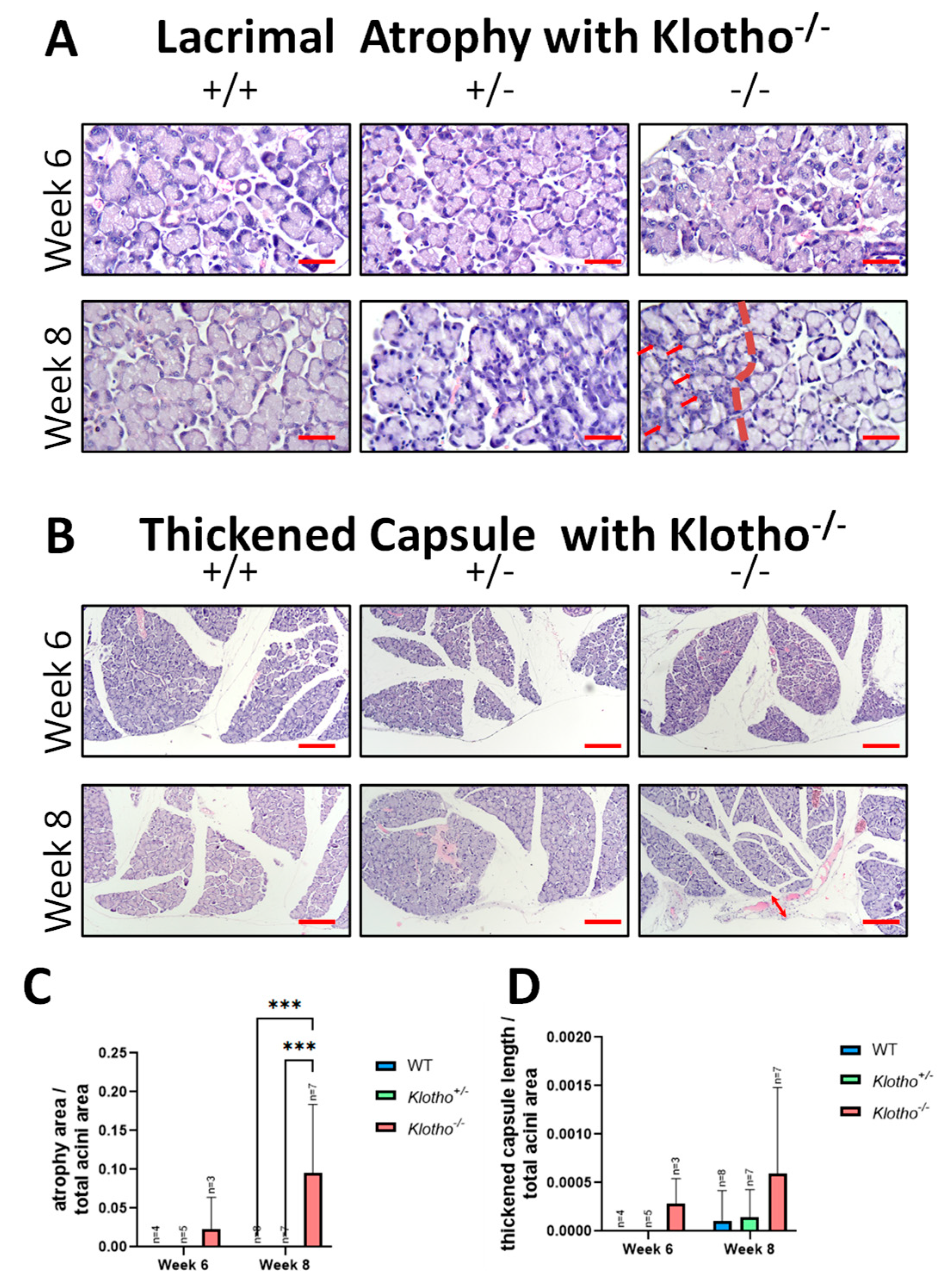Biology 12 01328 g002 Biology 12 01328 g002