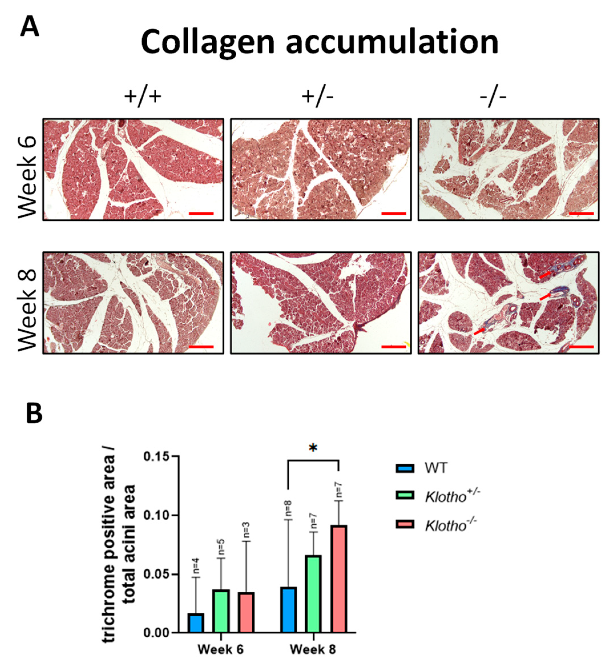 Biology 12 01328 g003 Biology 12 01328 g003