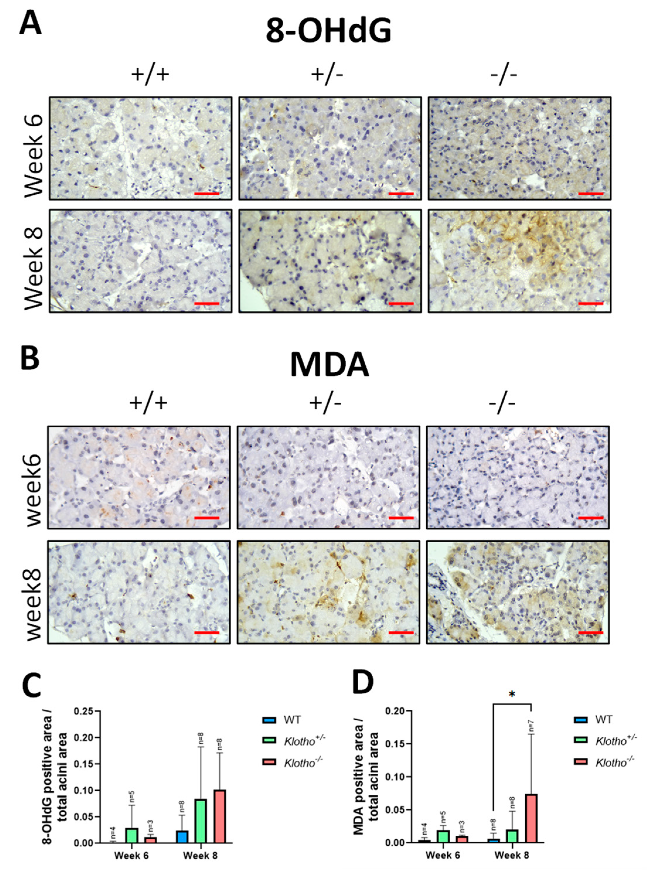 Biology 12 01328 g004 Biology 12 01328 g004