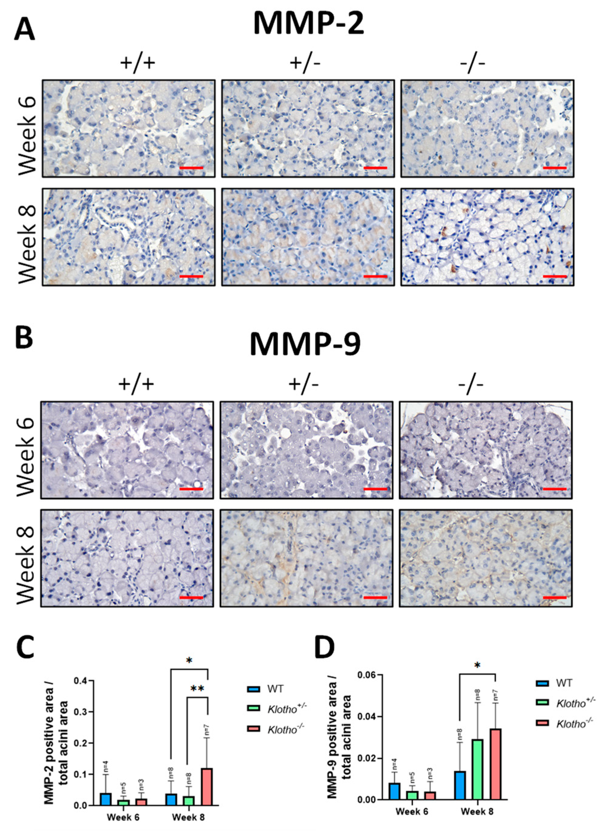 Biology 12 01328 g006 Biology 12 01328 g006
