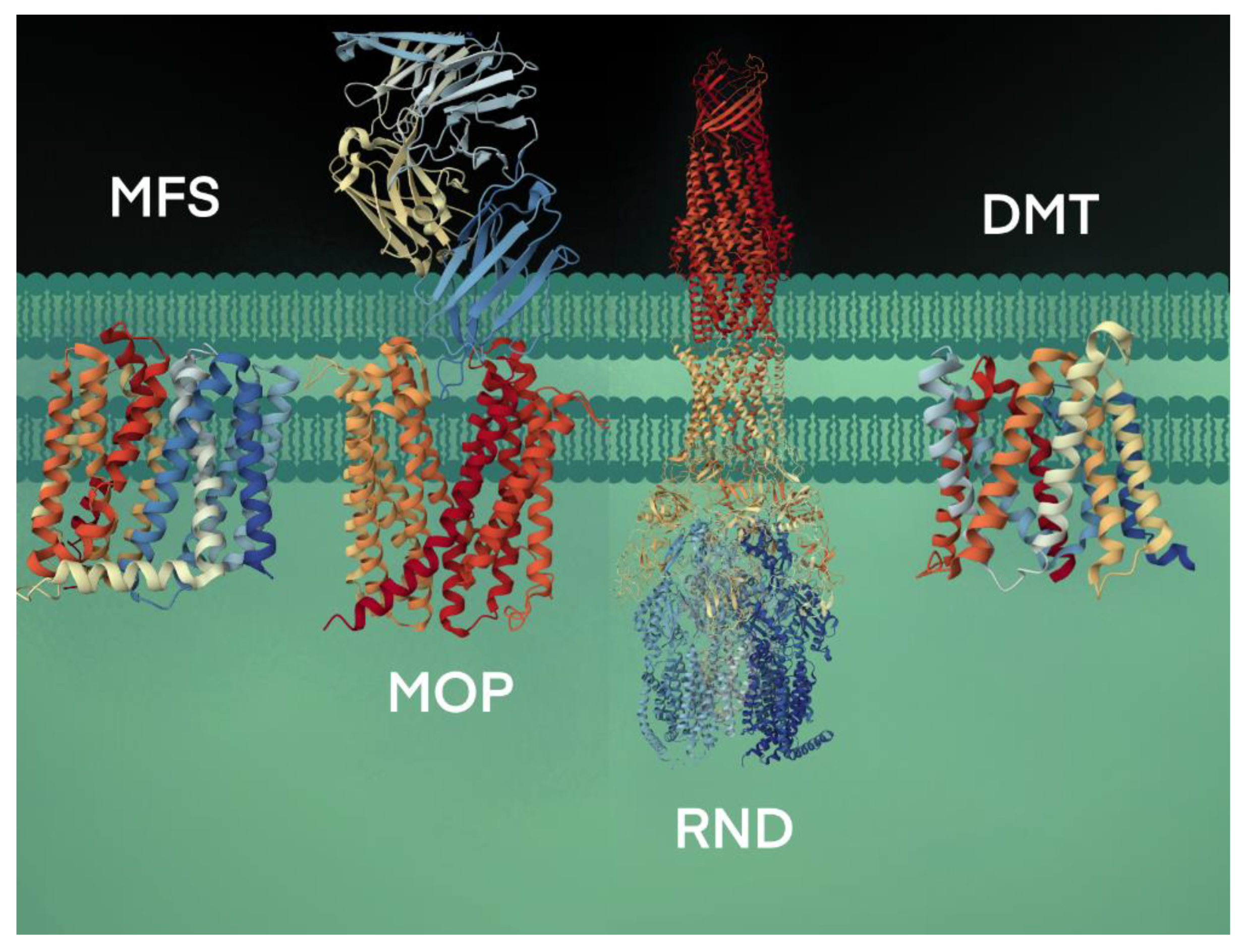Biology 12 01336 g002