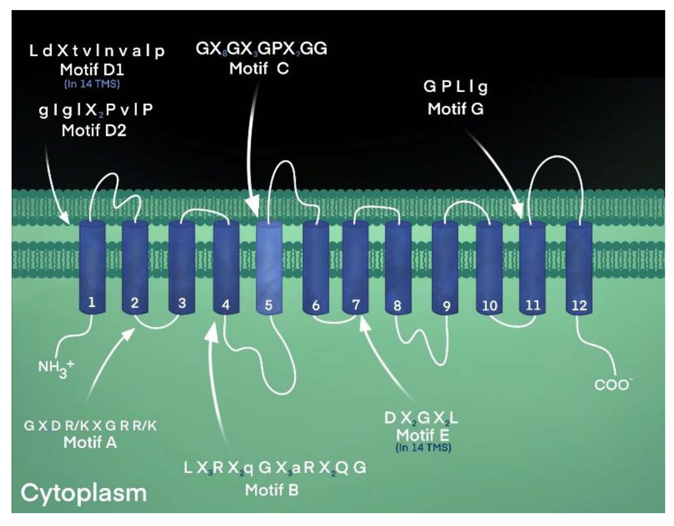 Biology 12 01336 g003