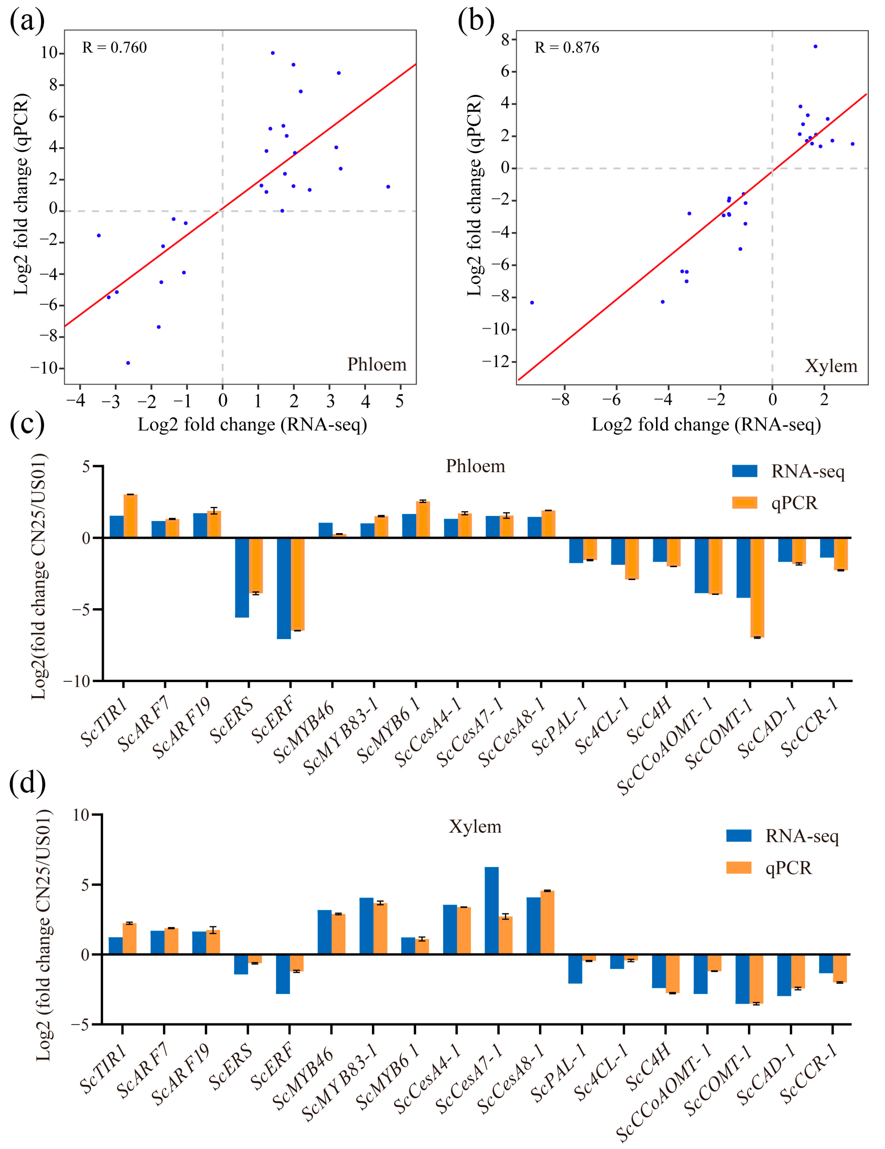 Biology 12 01347 g004