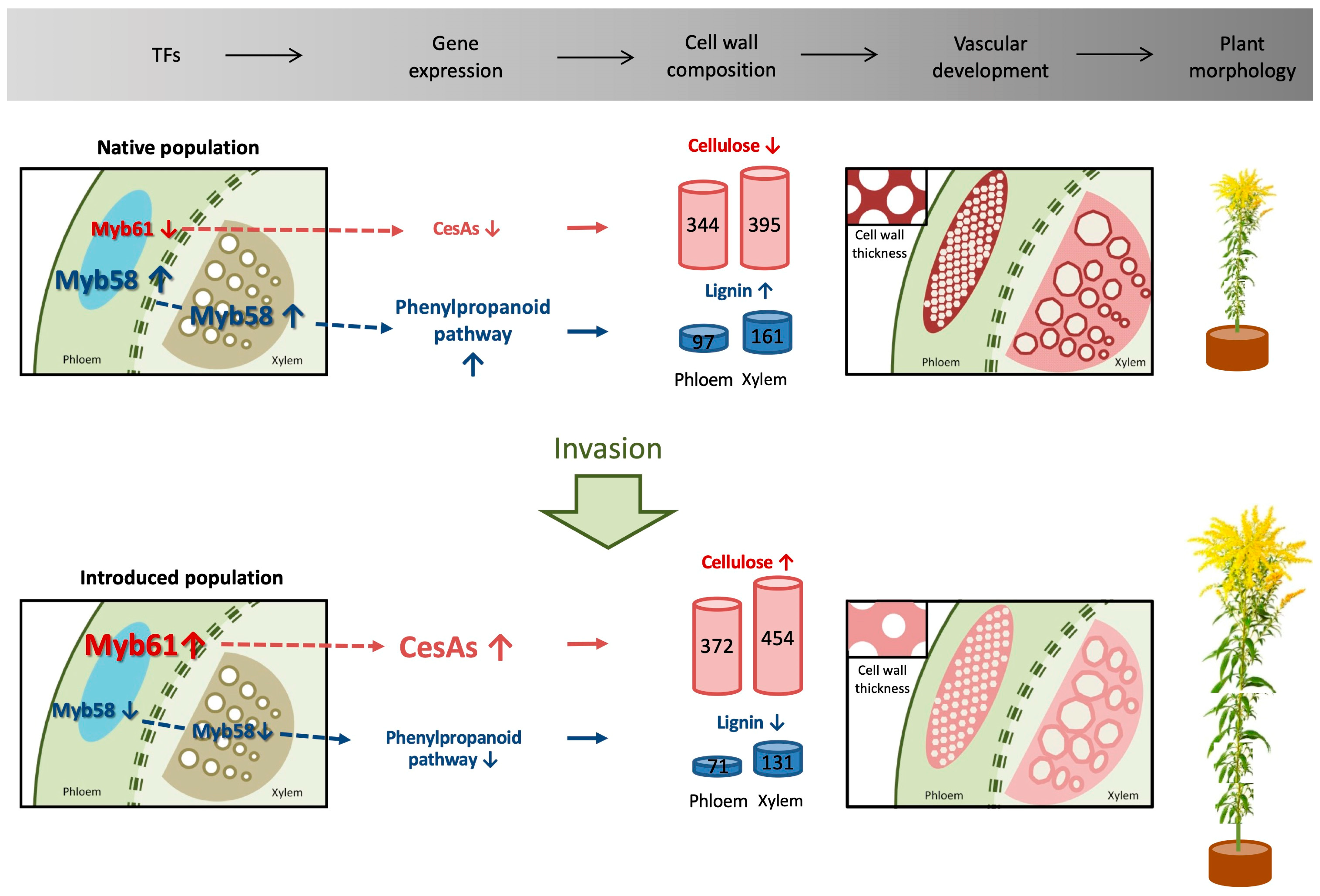 Biology 12 01347 g006