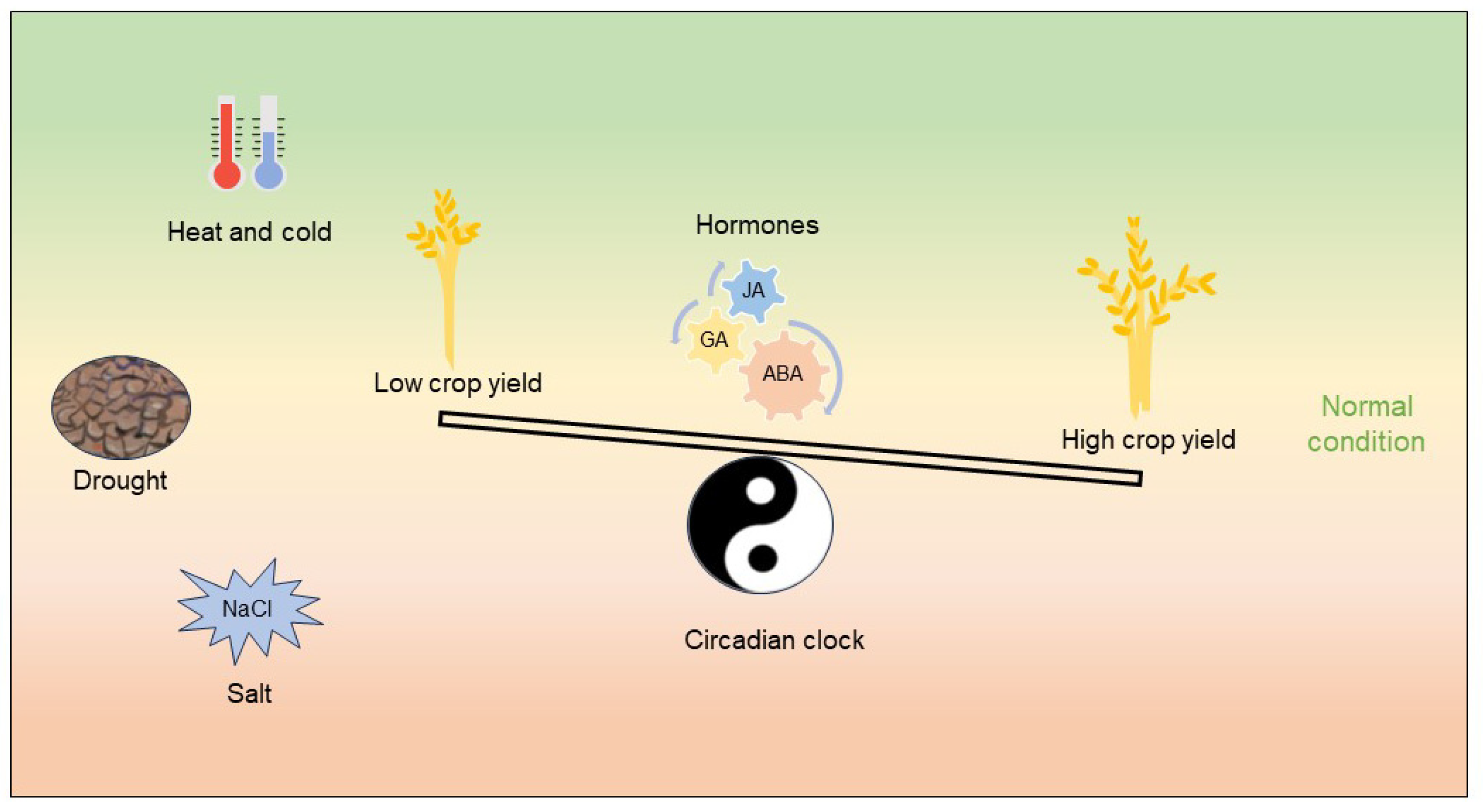 The Circadian Clock Coordinates the Tradeoff between Adaptation to ...