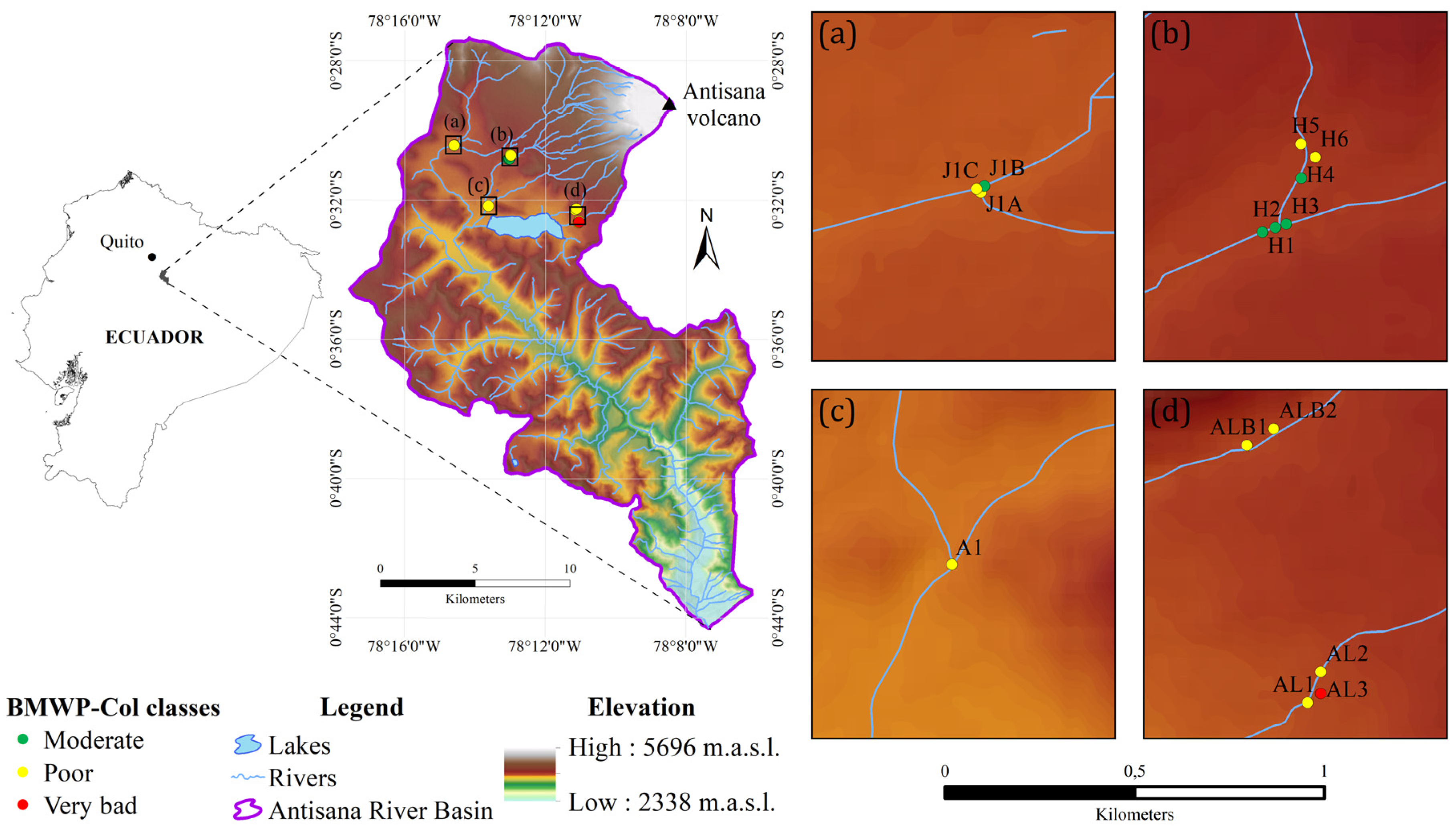 Biology 12 01386 g001 Biology 12 01386 g001