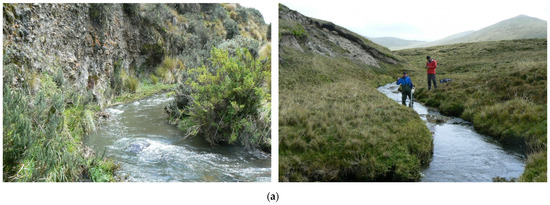 Biology 12 01386 g0a4a