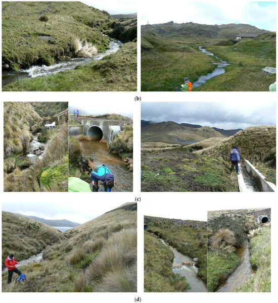 Biology 12 01386 g0a4b