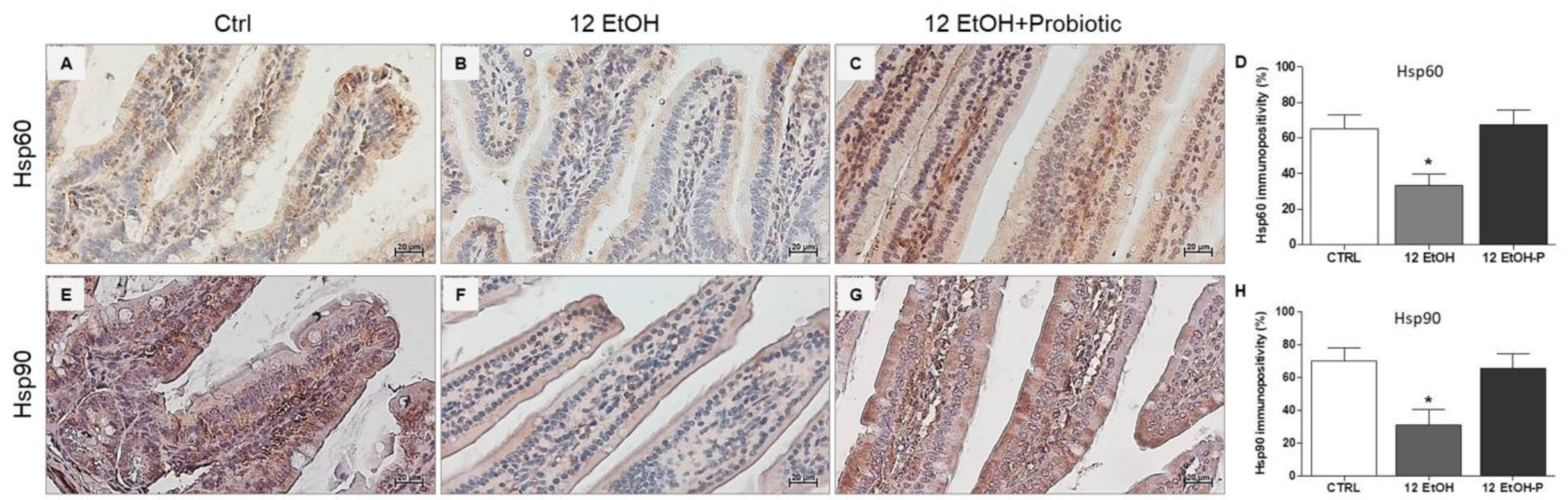 Biology 12 01394 g003