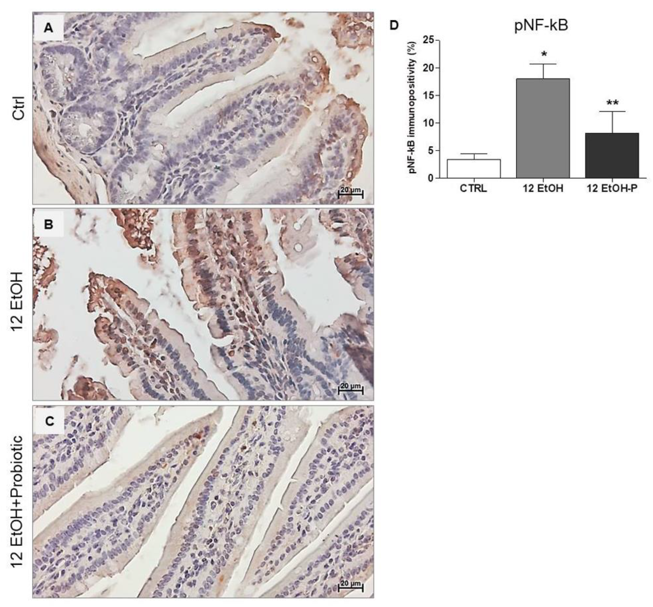Biology 12 01394 g006