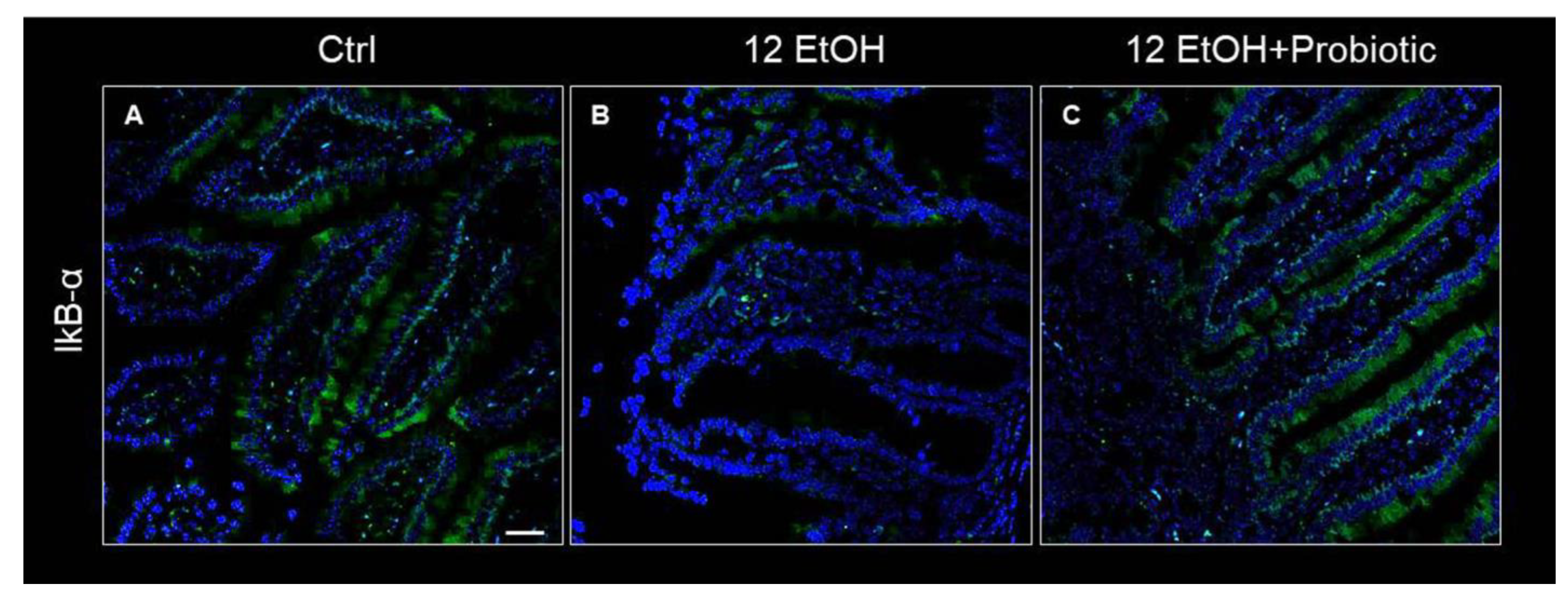 Biology 12 01394 g007