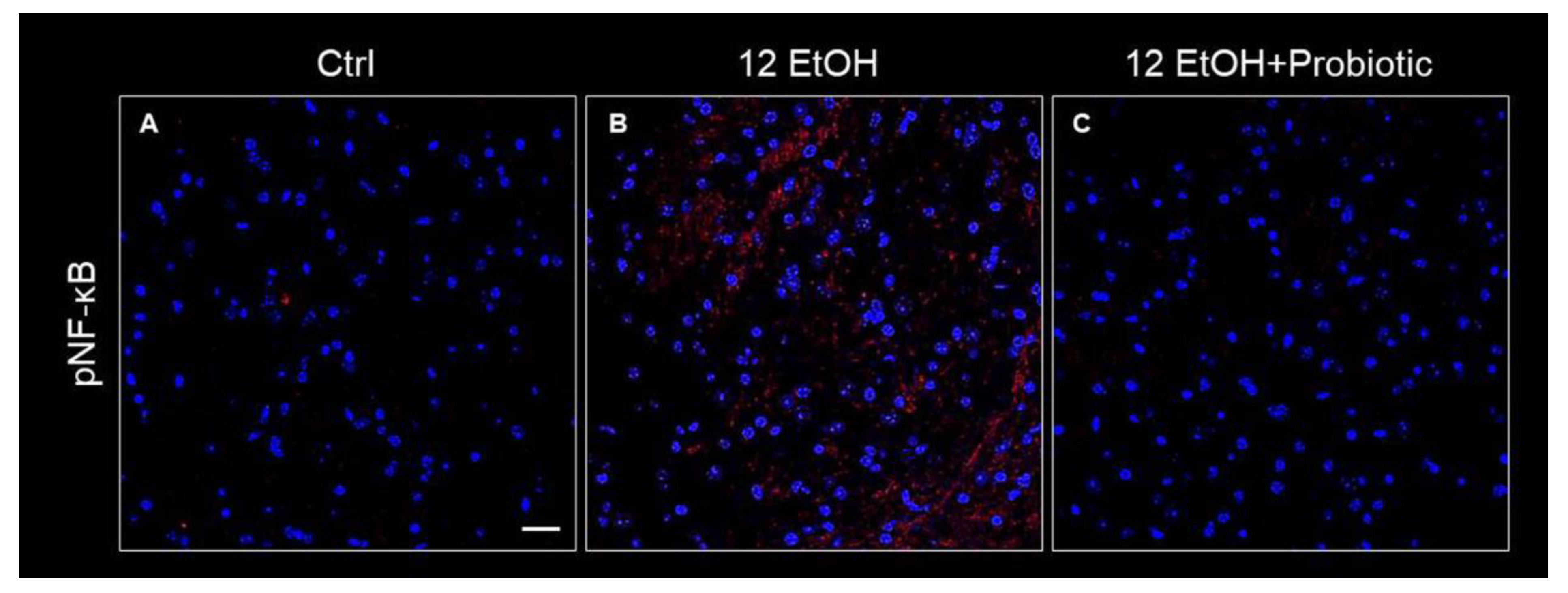 Biology 12 01394 g011