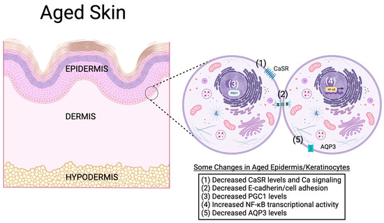 Biology 12 01396 g006