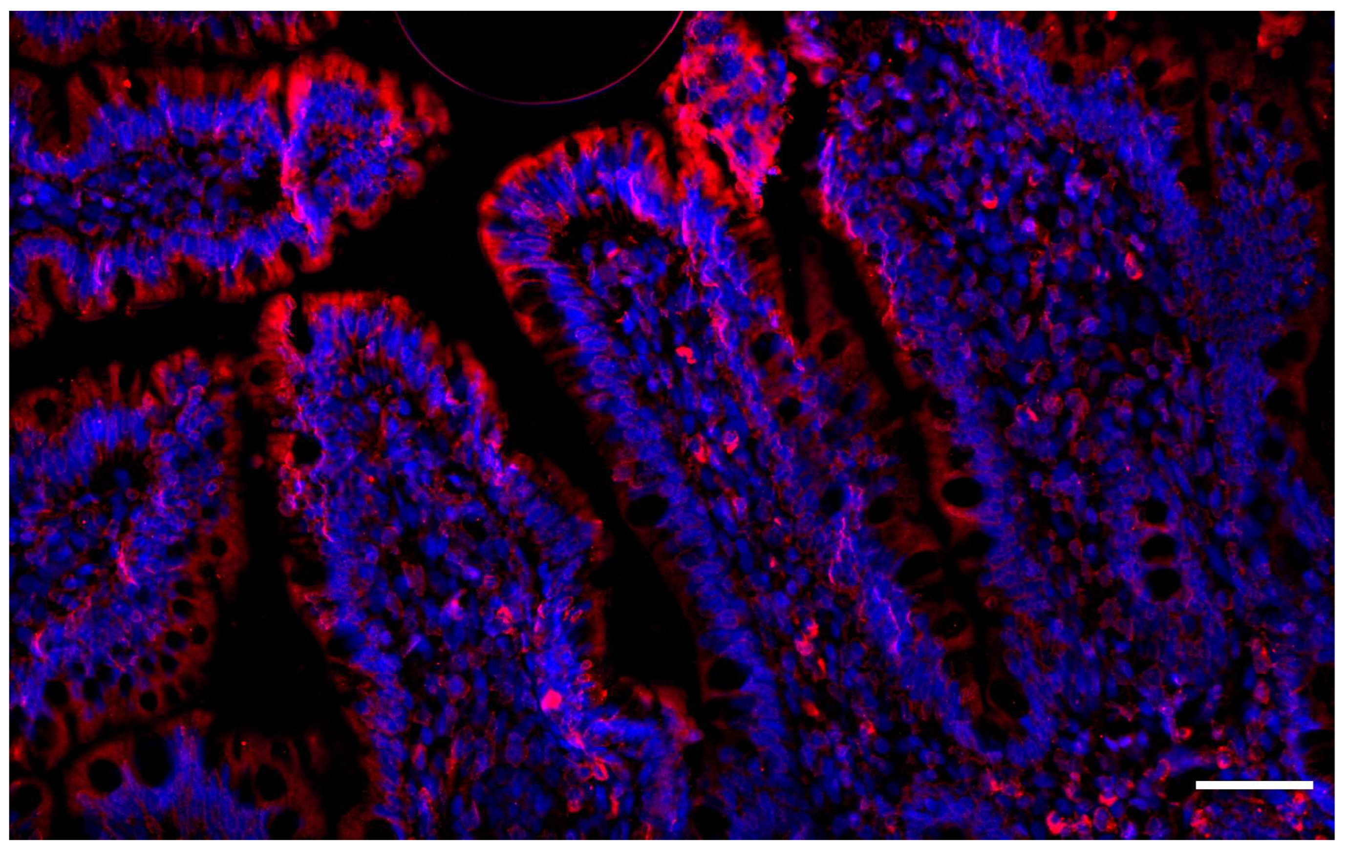 Biology 12 01402 g002 Biology 12 01402 g002