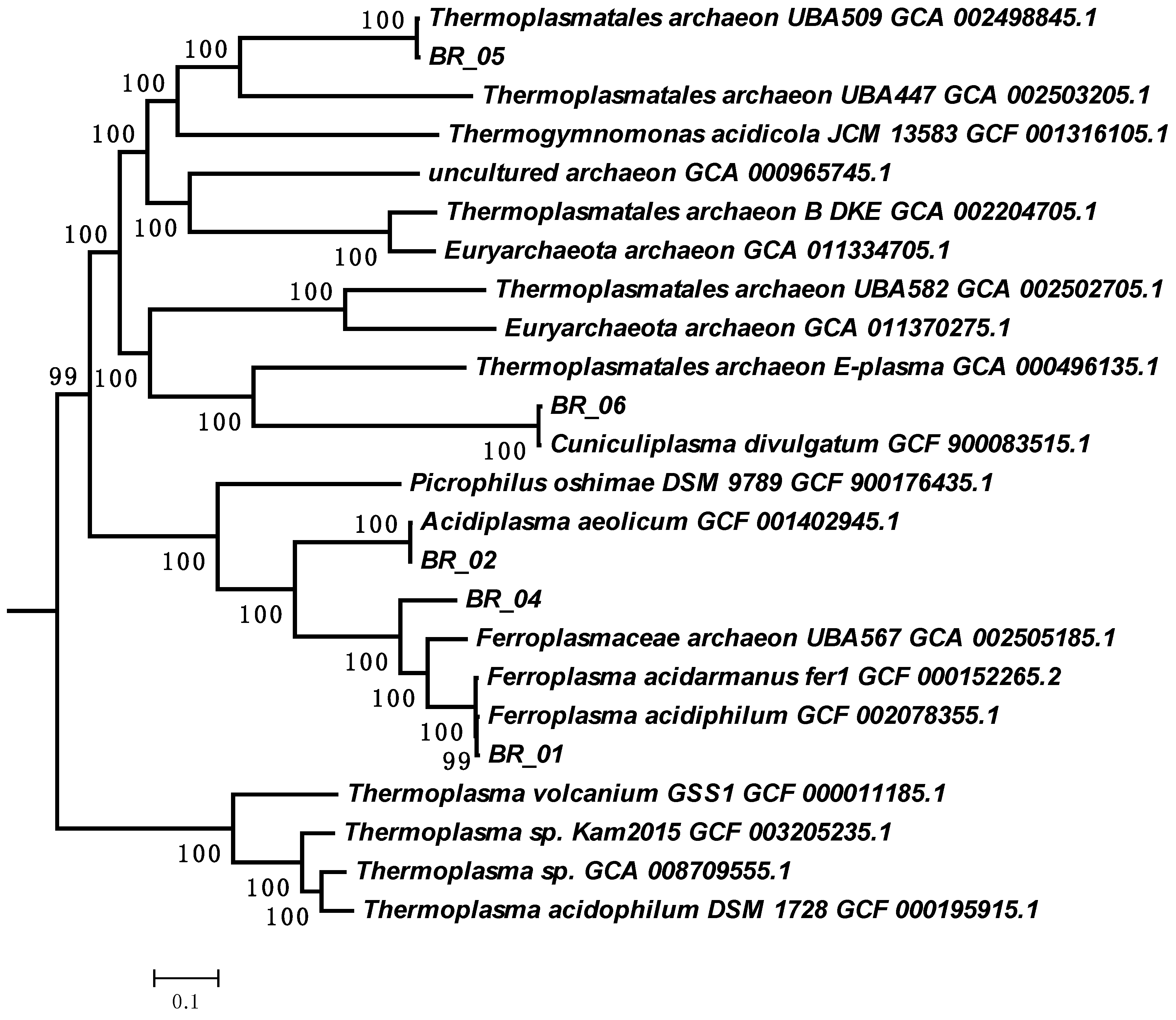 Biology 12 01411 g002