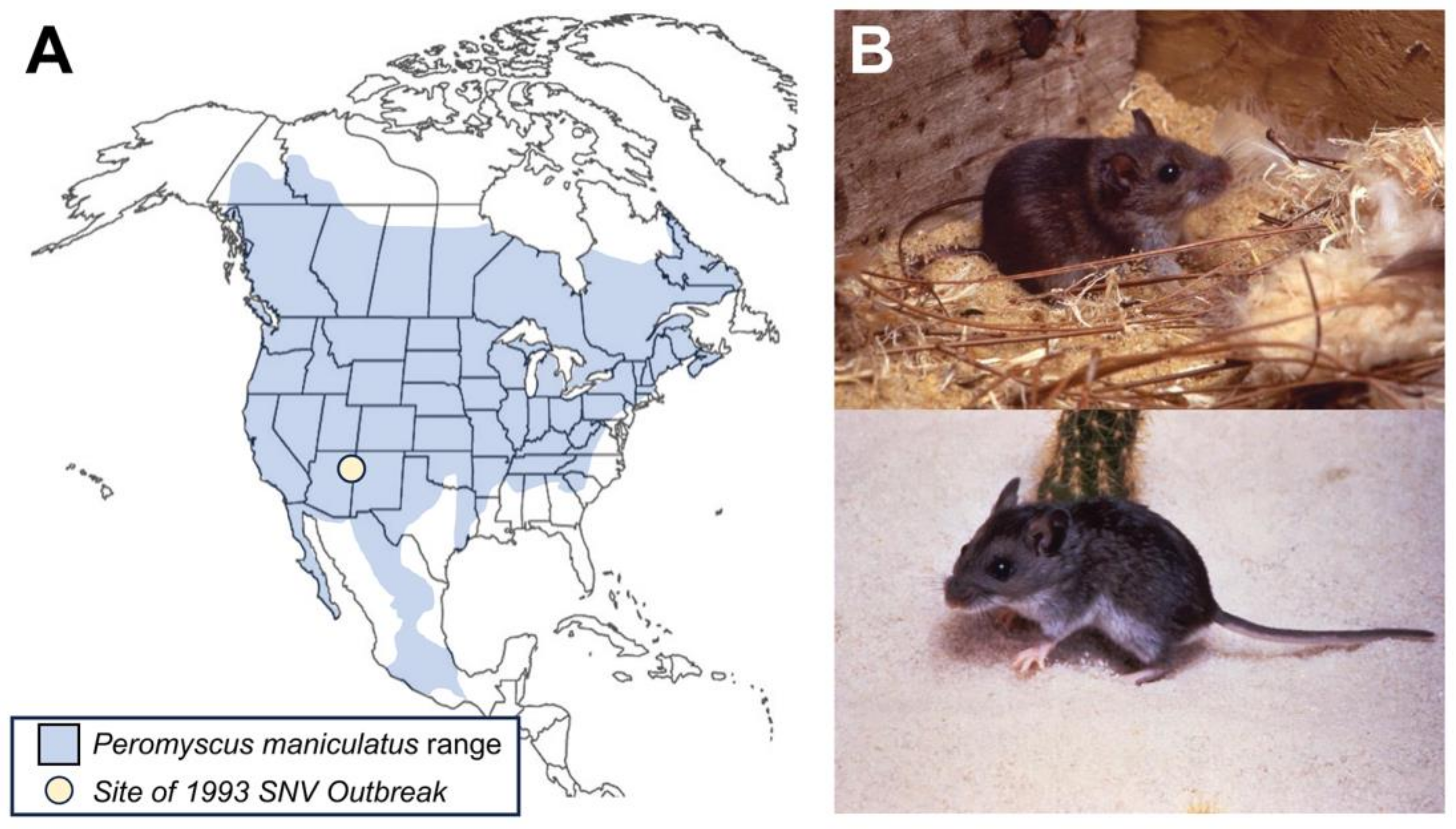 Biology 12 01413 g001 Biology 12 01413 g001