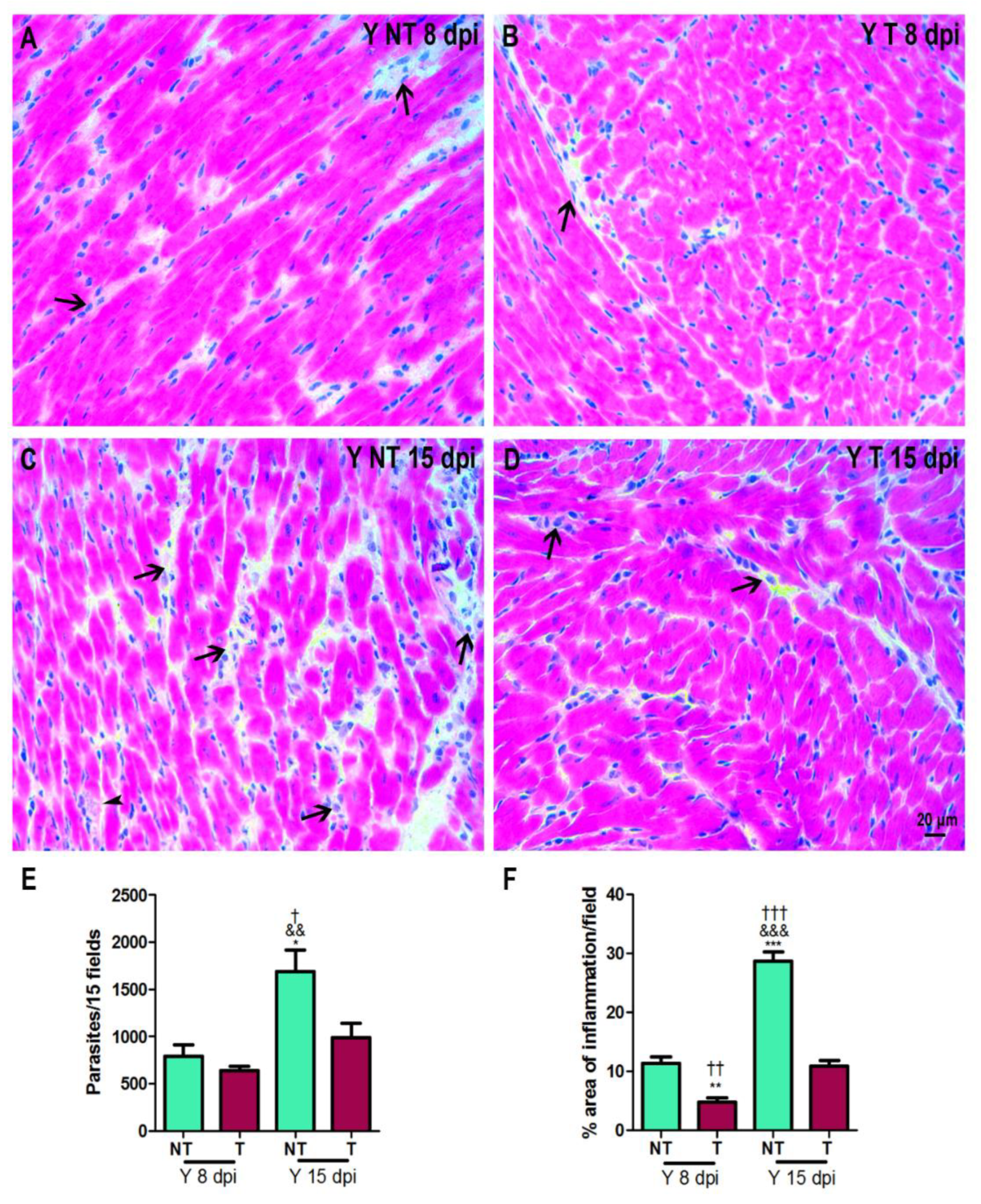 Biology 12 01414 g002