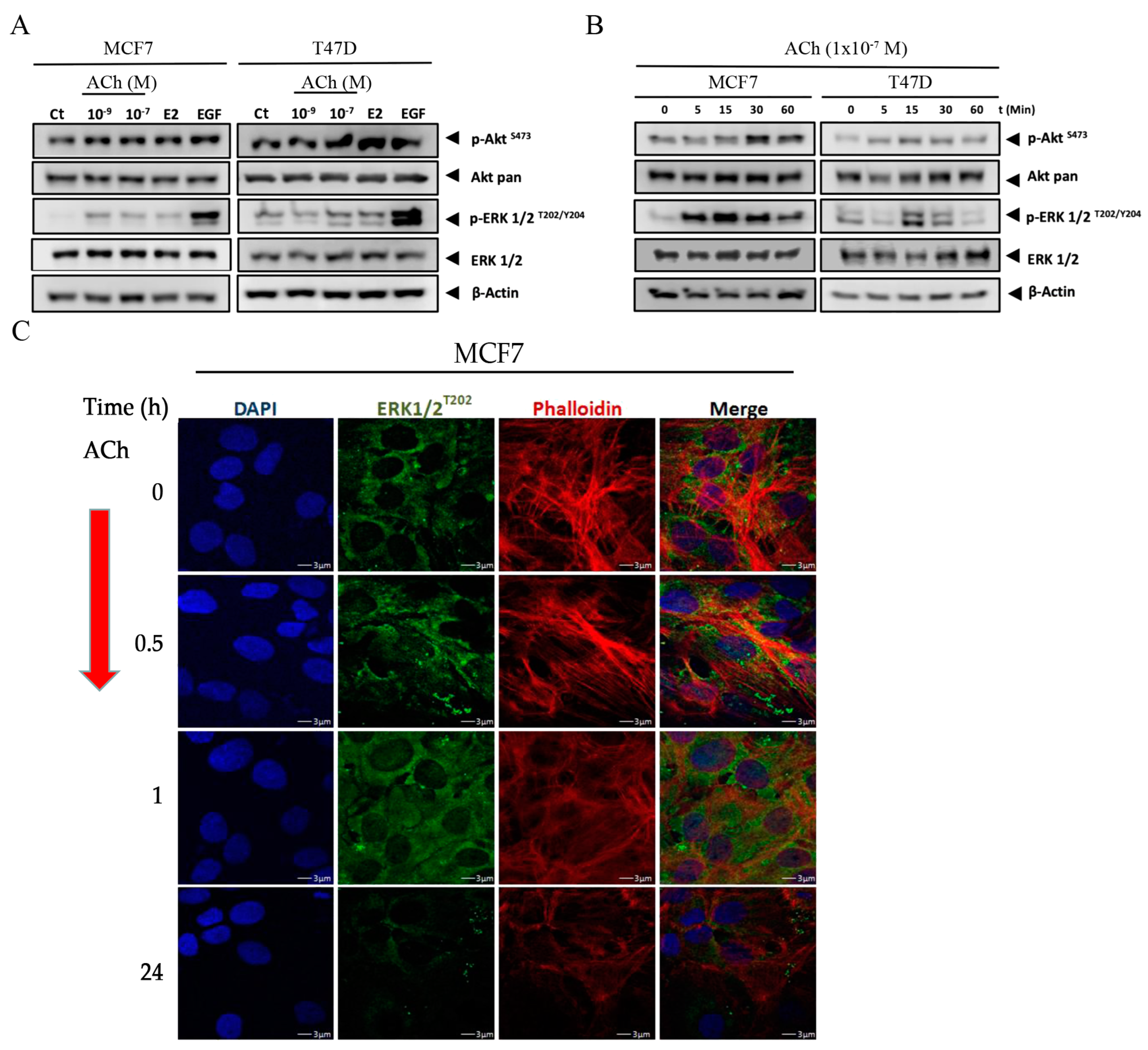 Biology 12 01418 g005