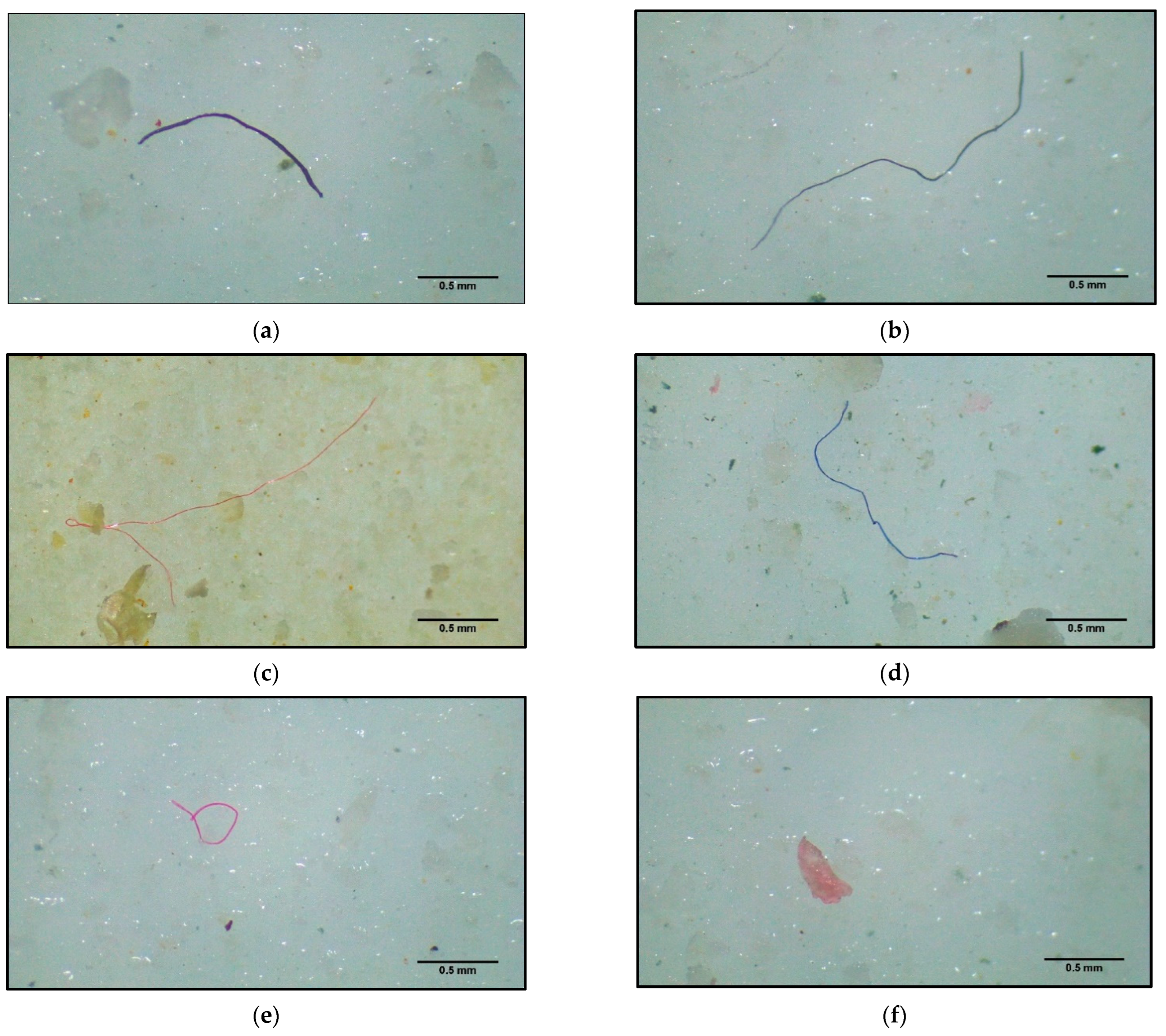 Biology 12 01422 g001