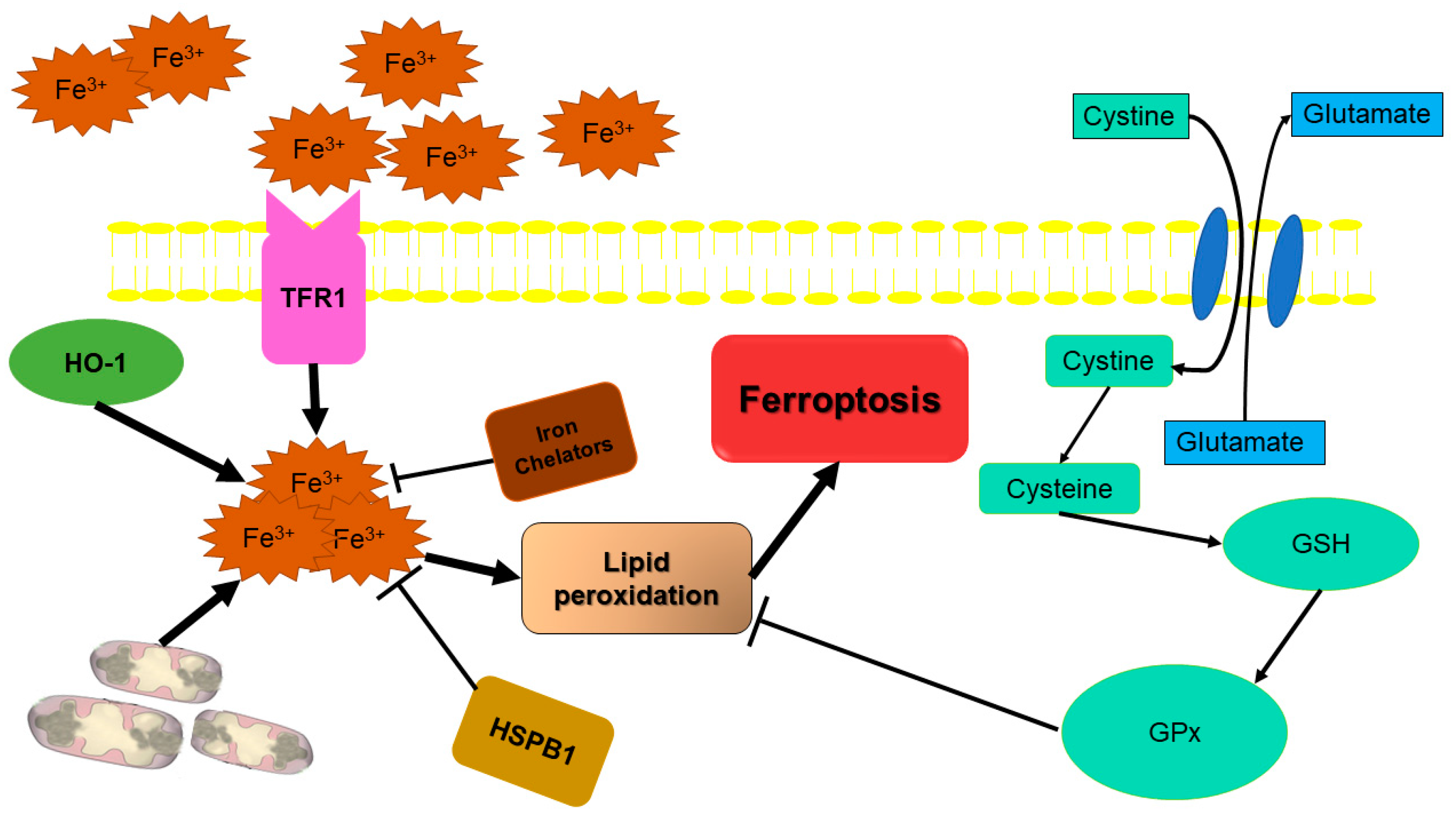 Biology 12 01426 g004