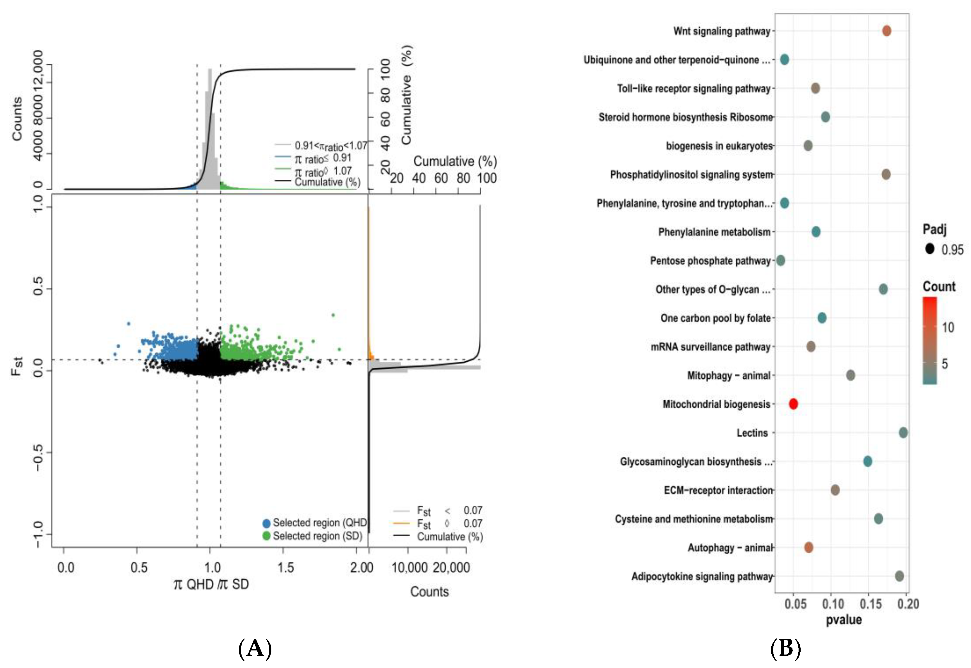 Biology 12 01427 g007