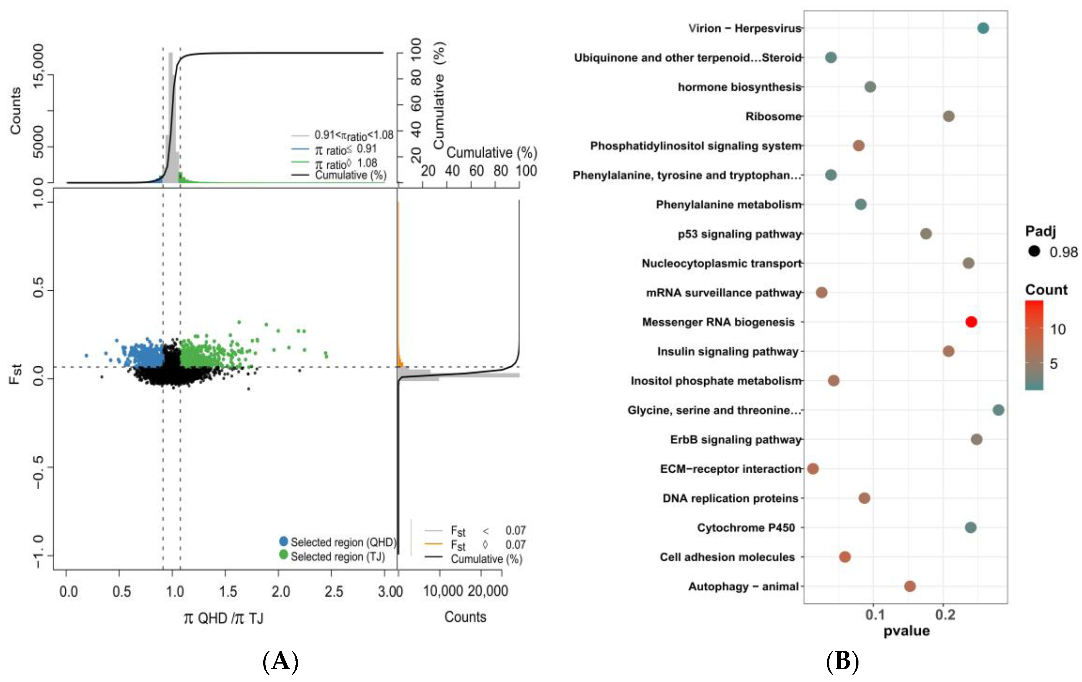 Biology 12 01427 g008