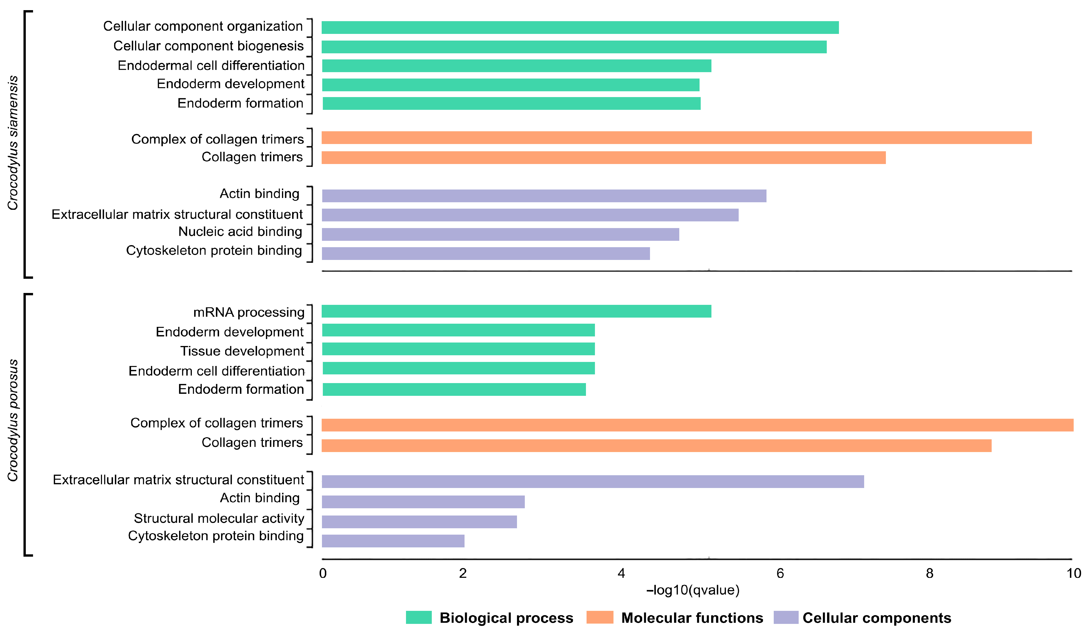 Biology 12 01428 g004