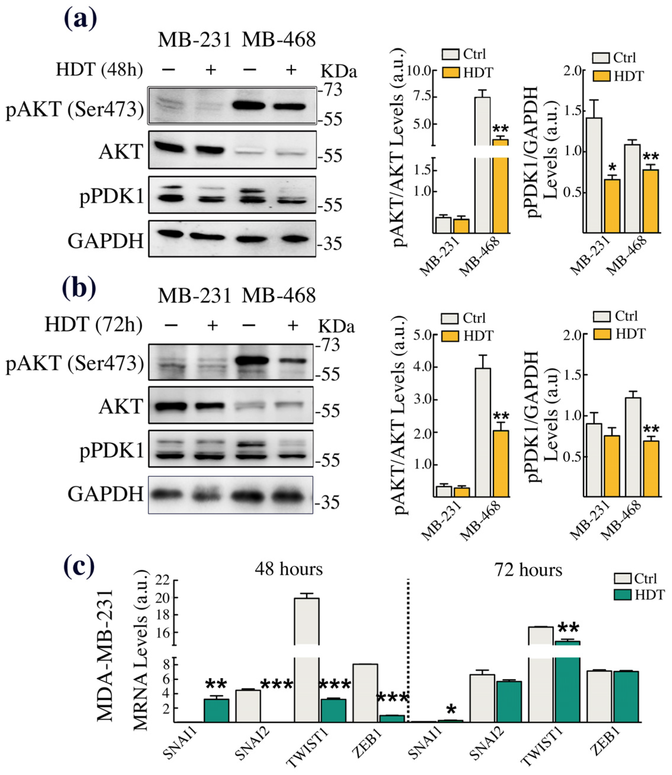 Biology 12 01437 g004